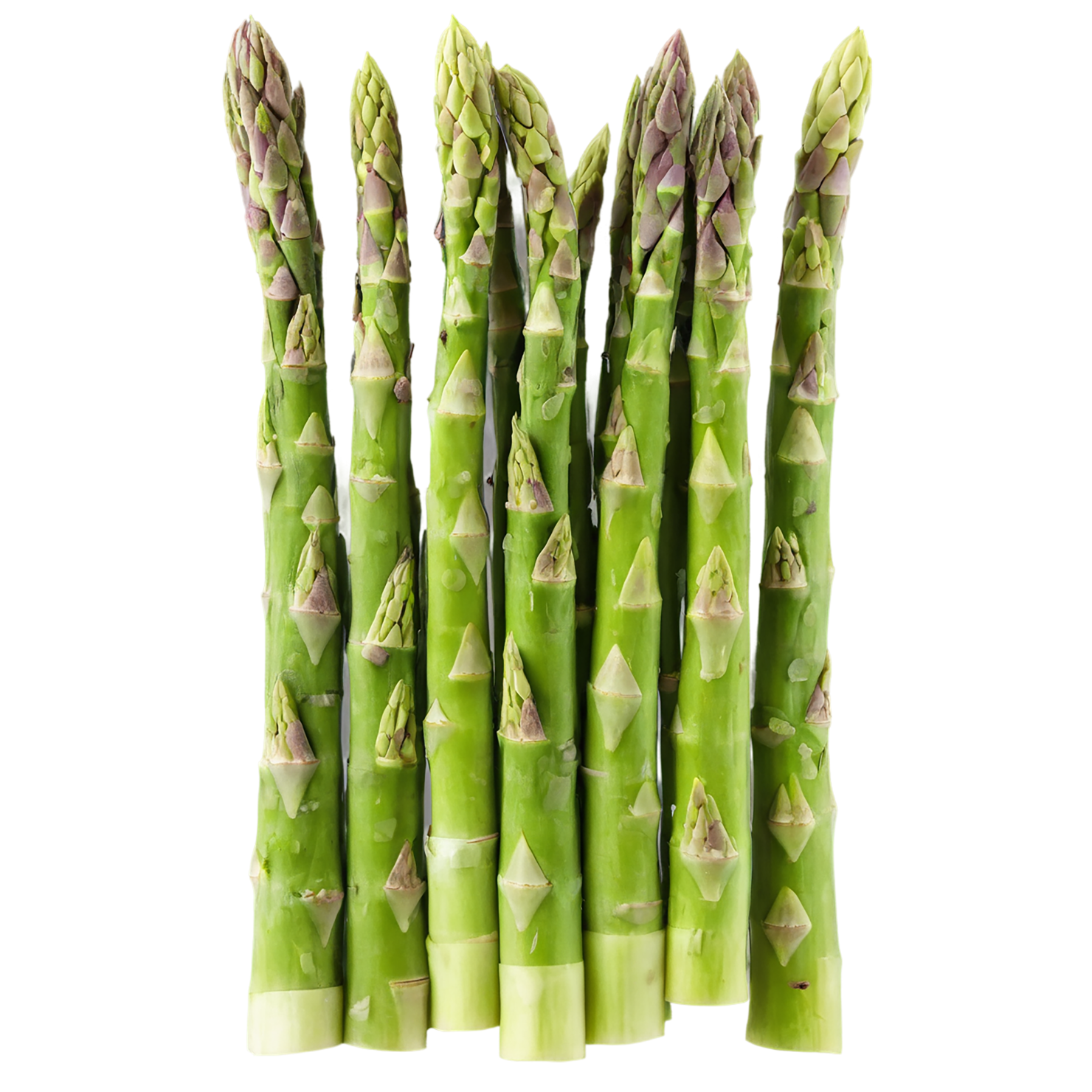 Asparagus vegetables isolated on transparent background #10485