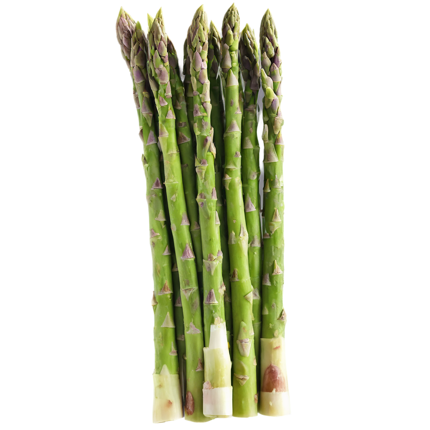 Asparagus vegetables isolated on transparent background #10486