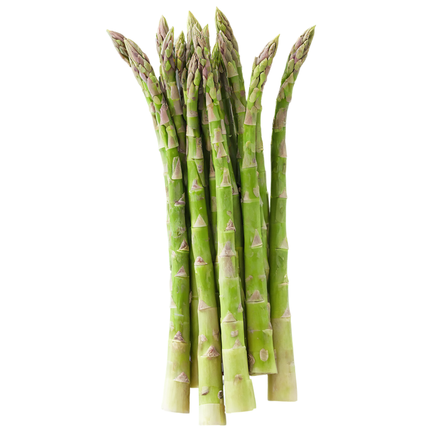 Asparagus vegetables isolated on transparent background #10491