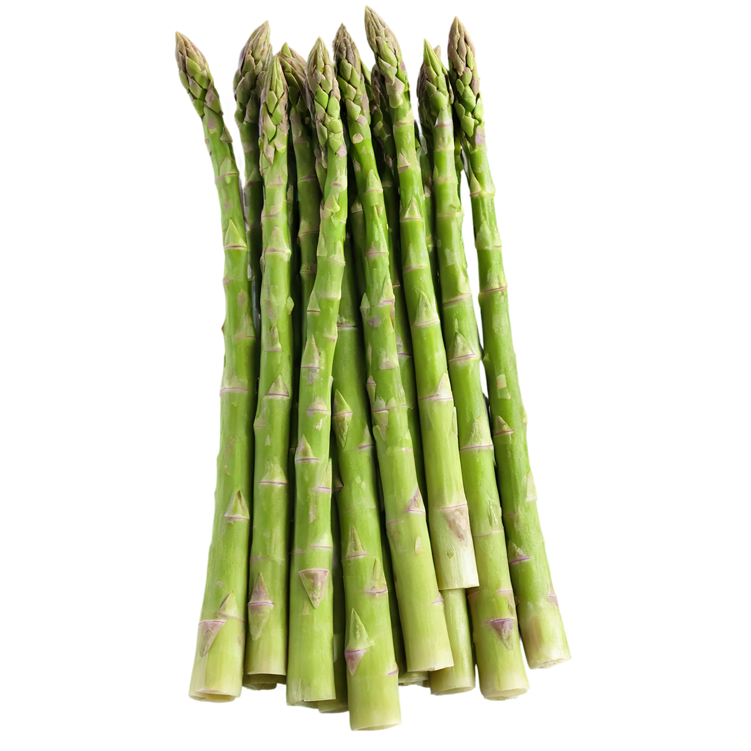 Asparagus vegetables isolated on transparent background #10493