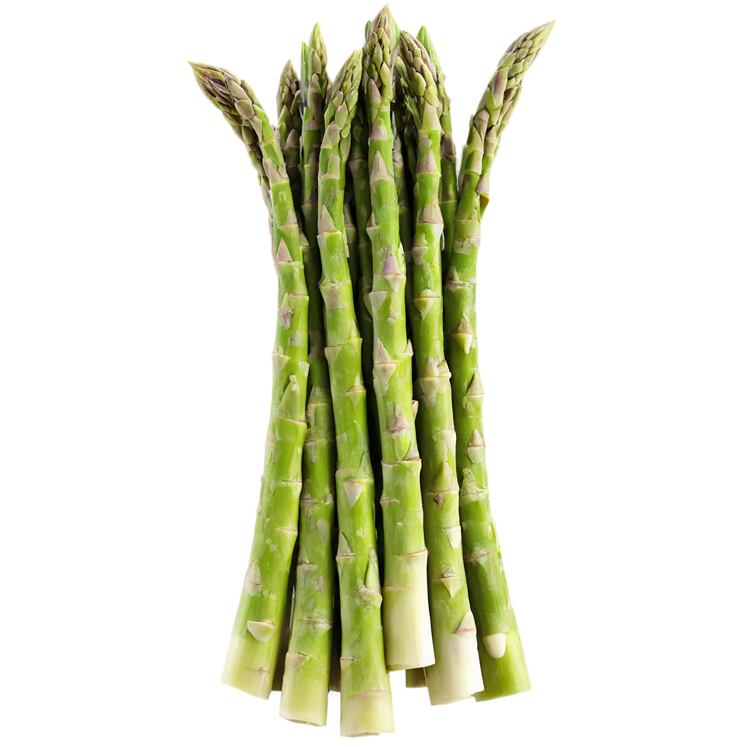 Asparagus vegetables isolated on transparent background #10500