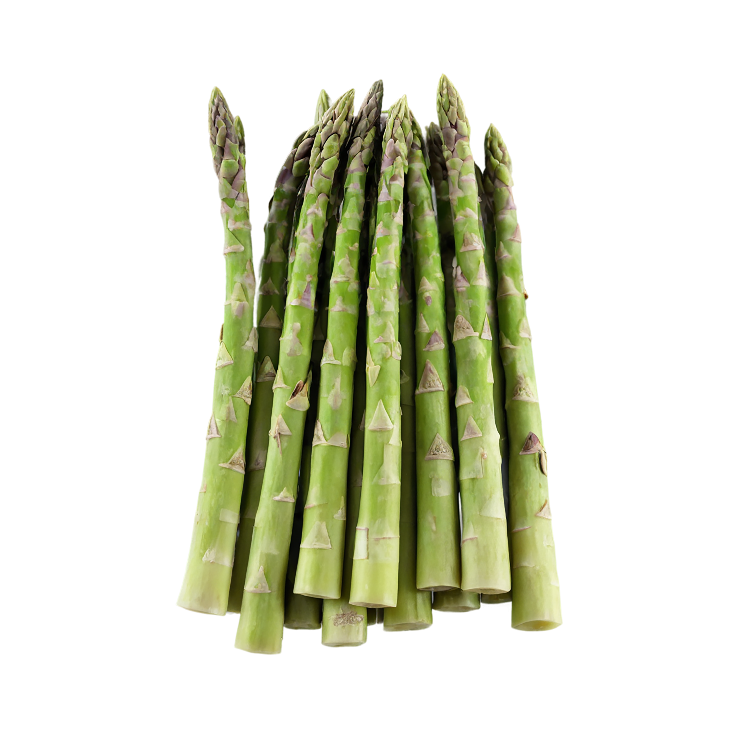 Asparagus vegetables isolated on transparent background #10501