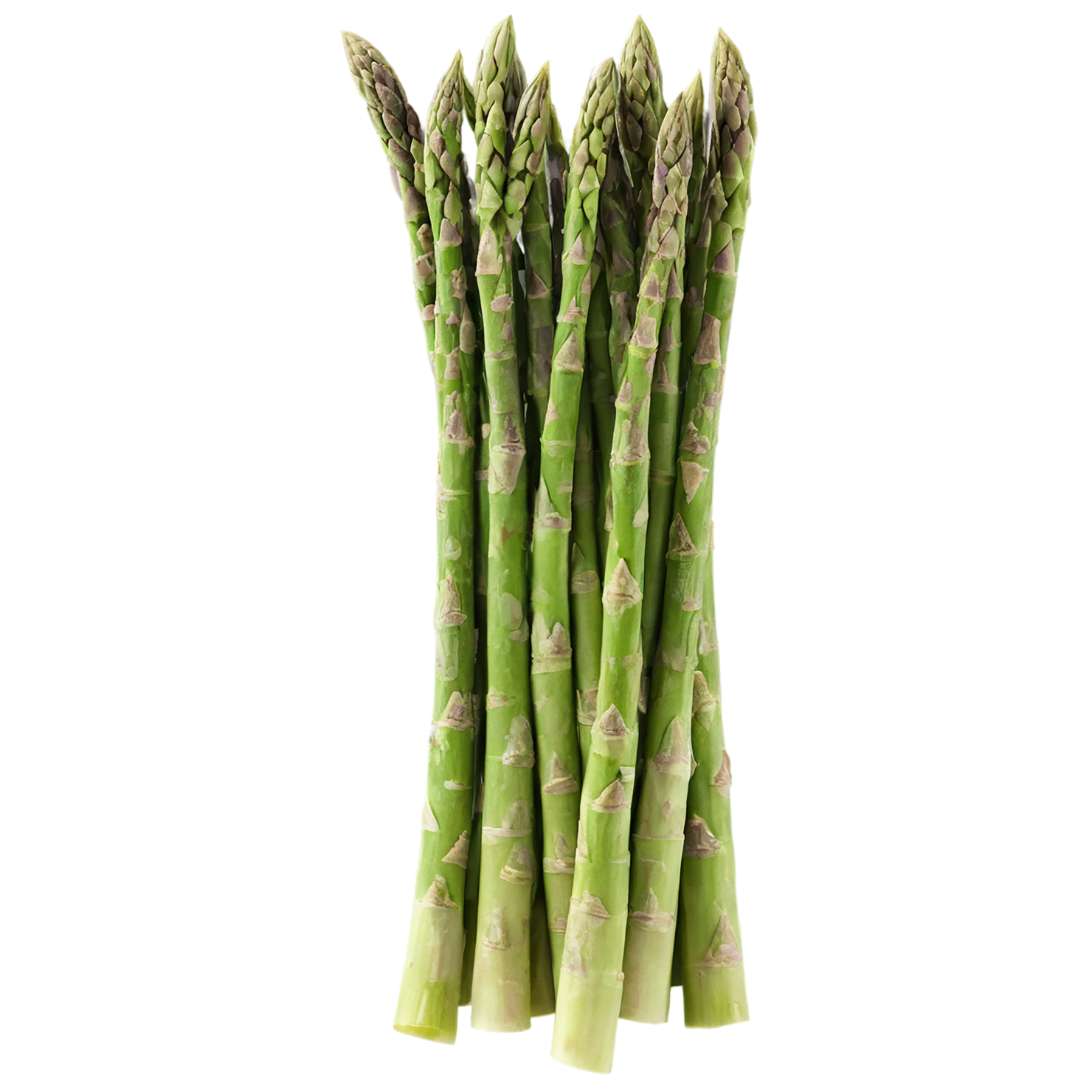 Asparagus vegetables isolated on transparent background #10502