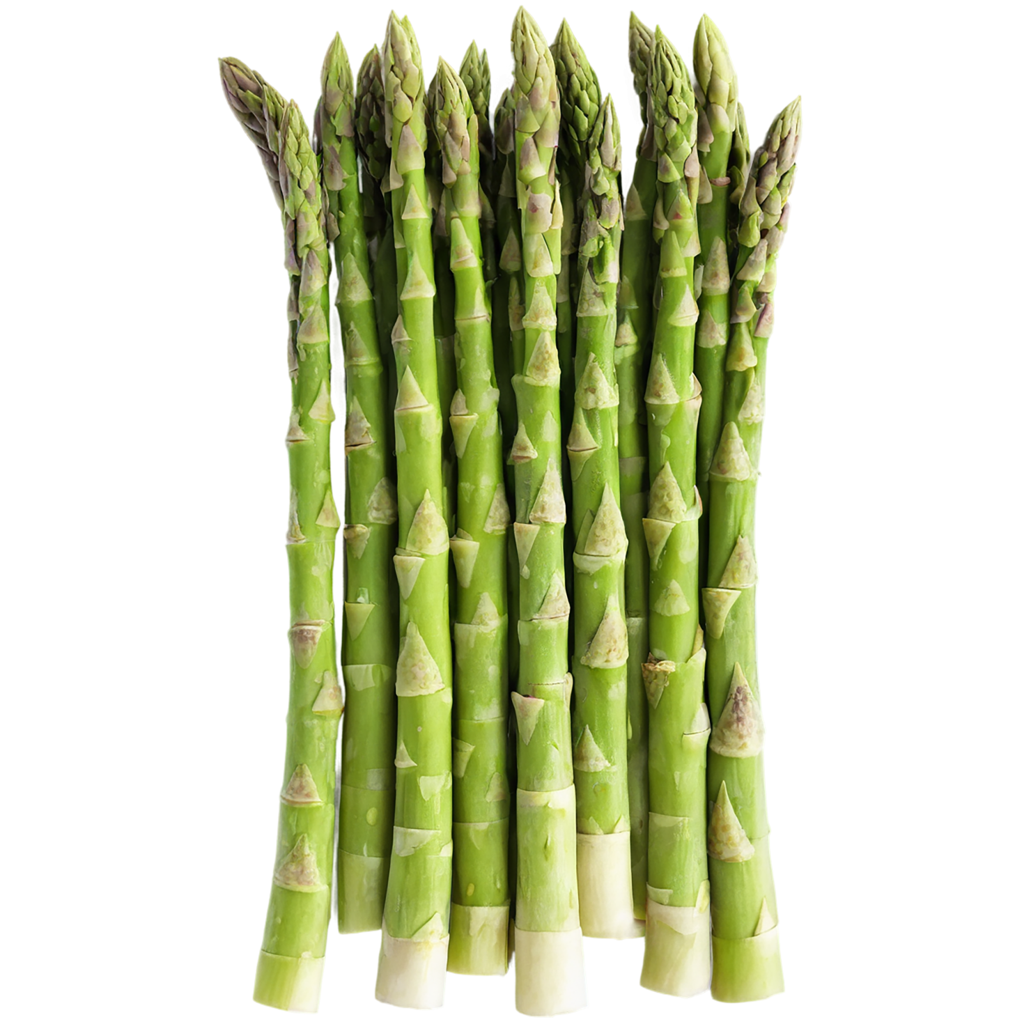 Asparagus vegetables isolated on transparent background #10504