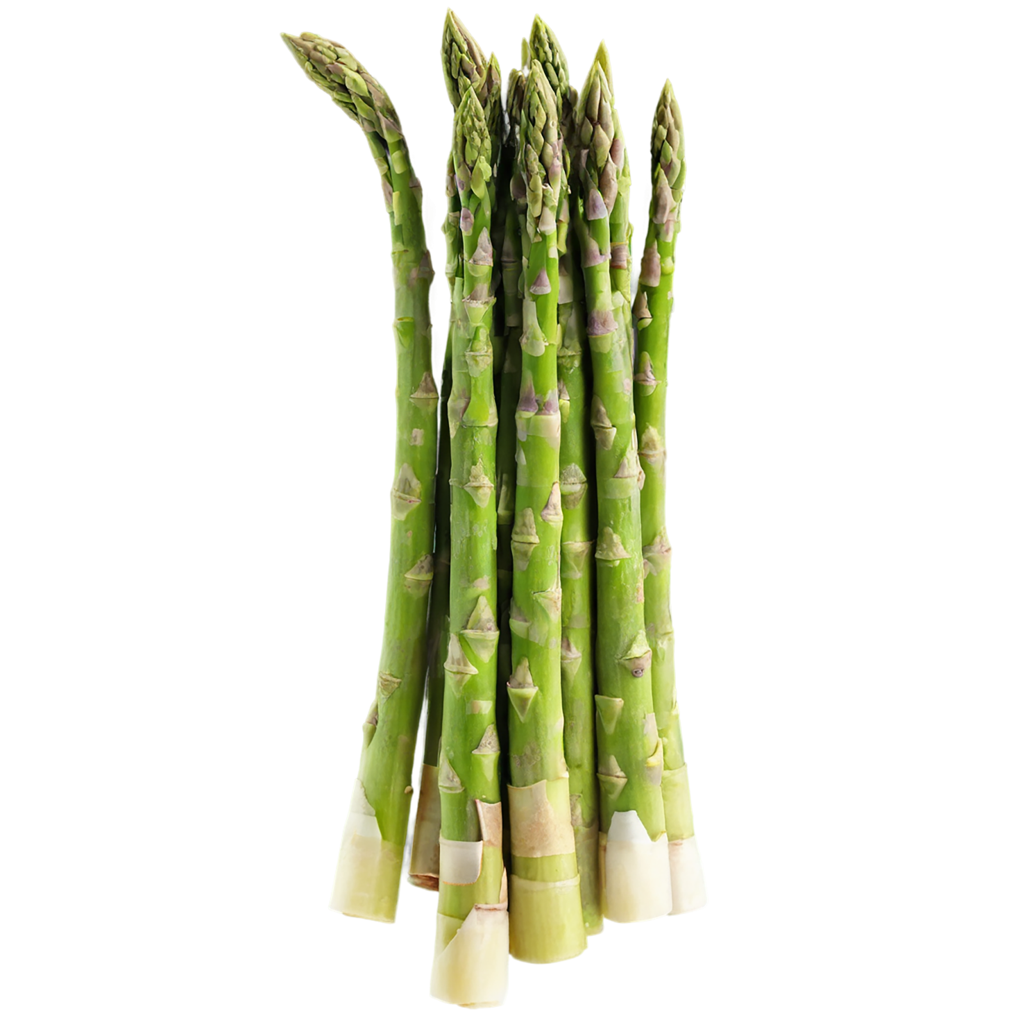 Asparagus vegetables isolated on transparent background #10505