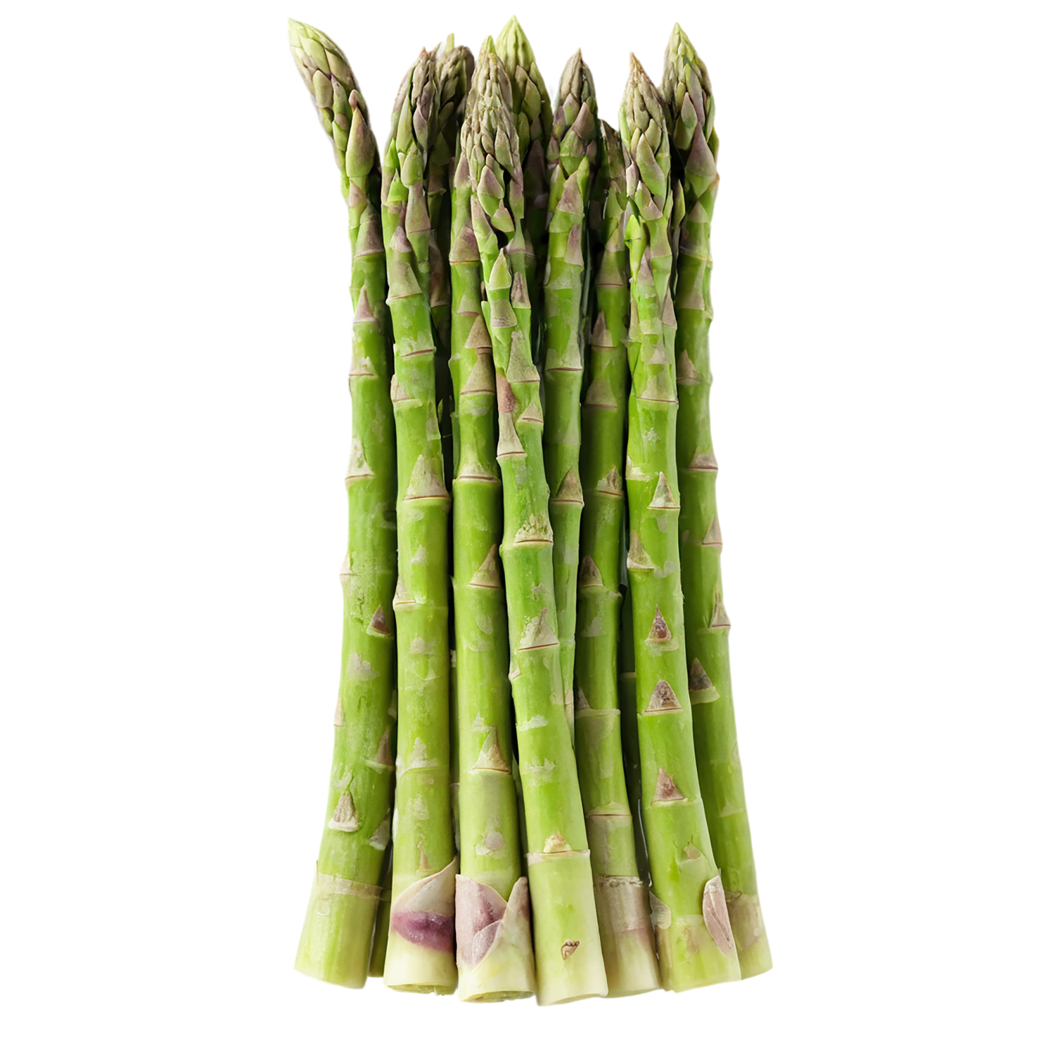 Asparagus vegetables isolated on transparent background #10506