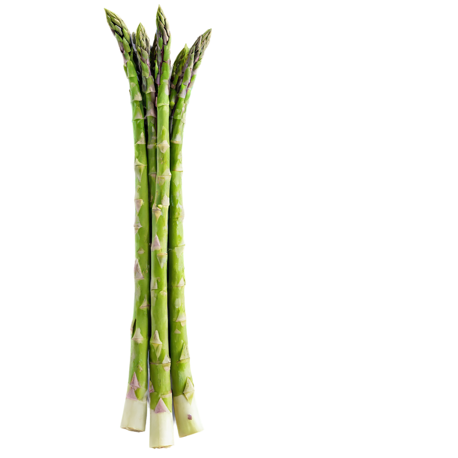 Asparagus vegetables isolated on transparent background #10508