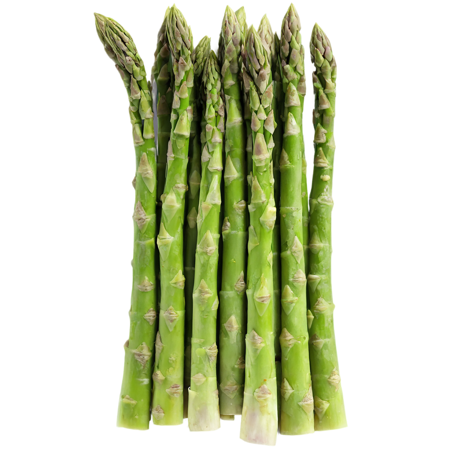 Asparagus vegetables isolated on transparent background #10510