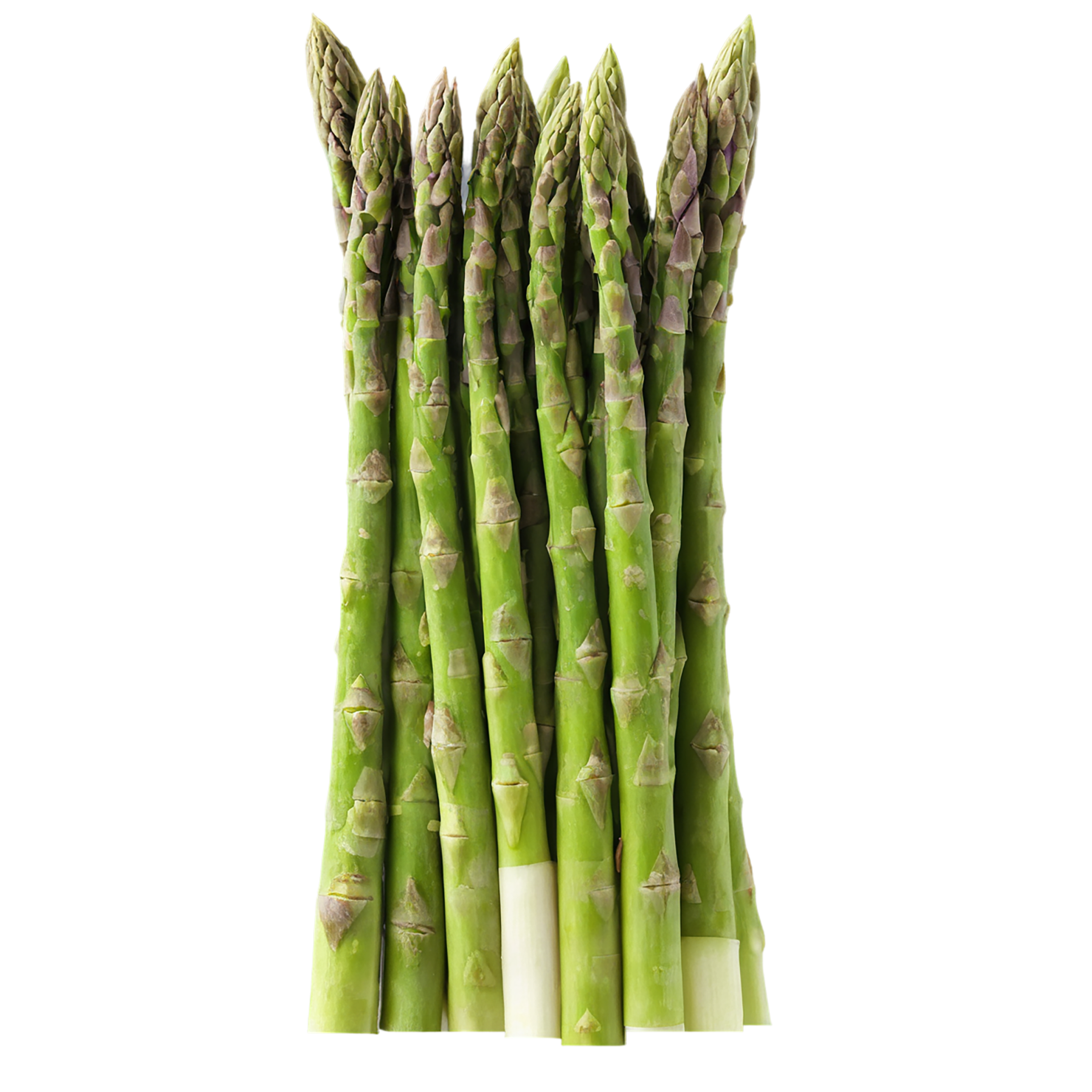 Asparagus vegetables isolated on transparent background #10511