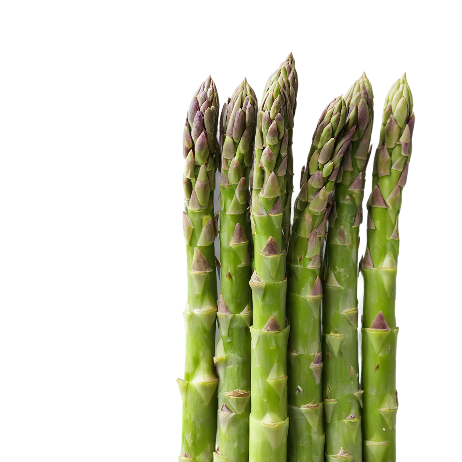 Asparagus vegetables isolated on transparent background #10512