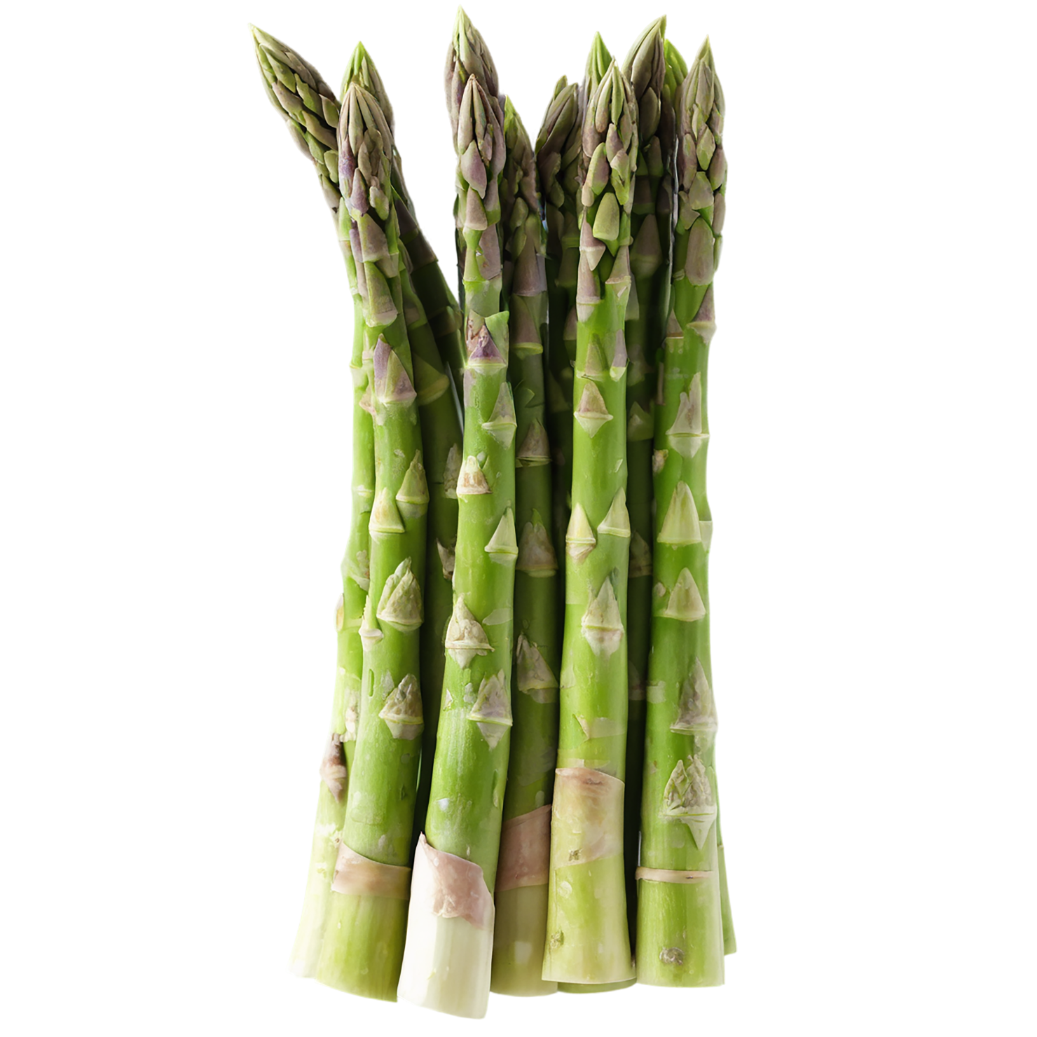 Asparagus vegetables isolated on transparent background #10515