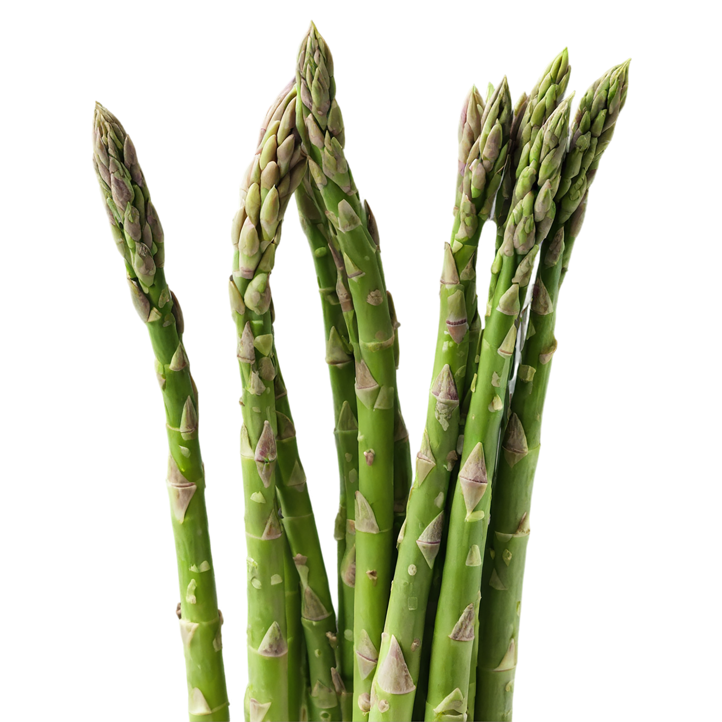 Asparagus vegetables isolated on transparent background #10517