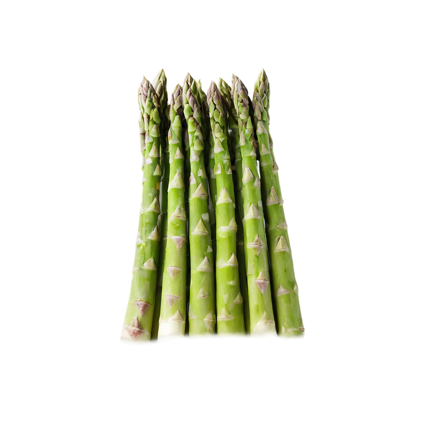 Asparagus vegetables isolated on transparent background #10519