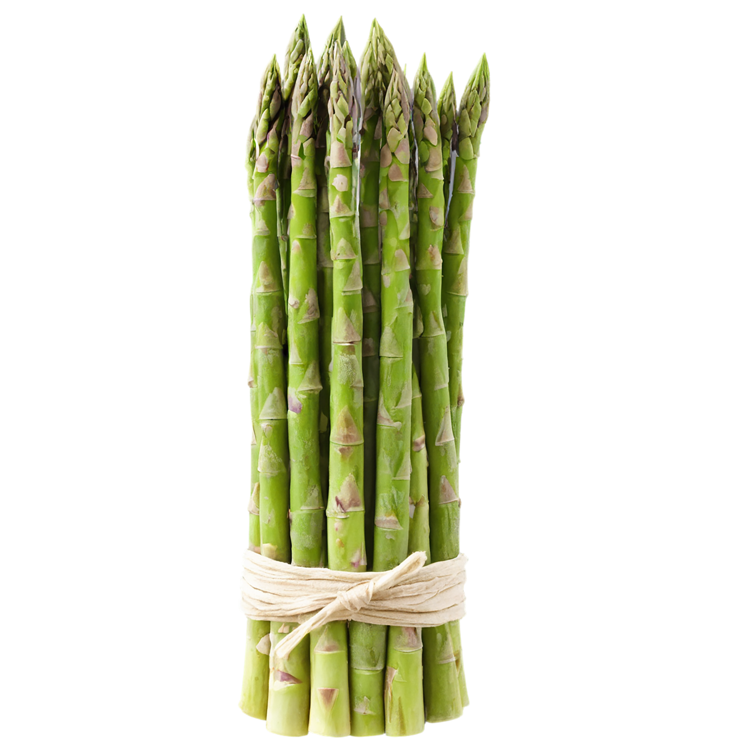 Asparagus vegetables isolated on transparent background #10520