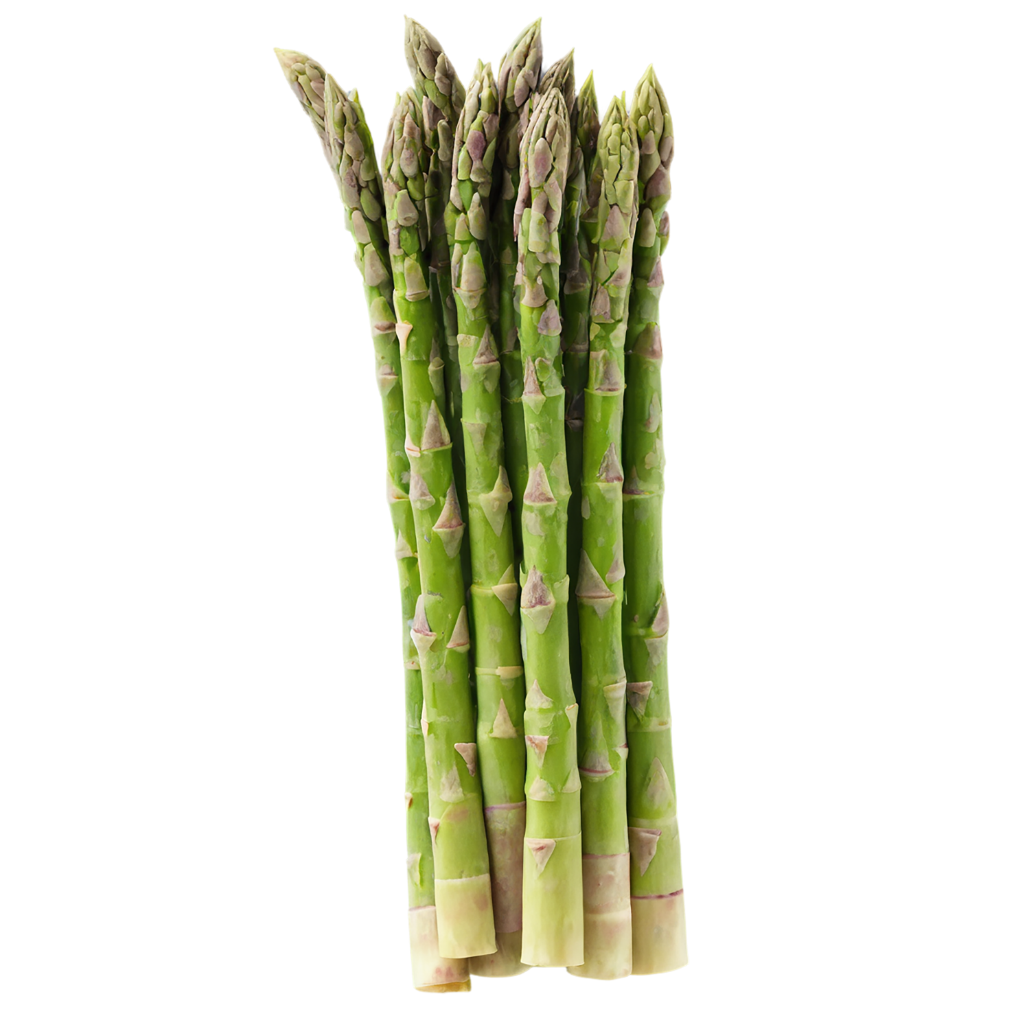 Asparagus vegetables isolated on transparent background #10521