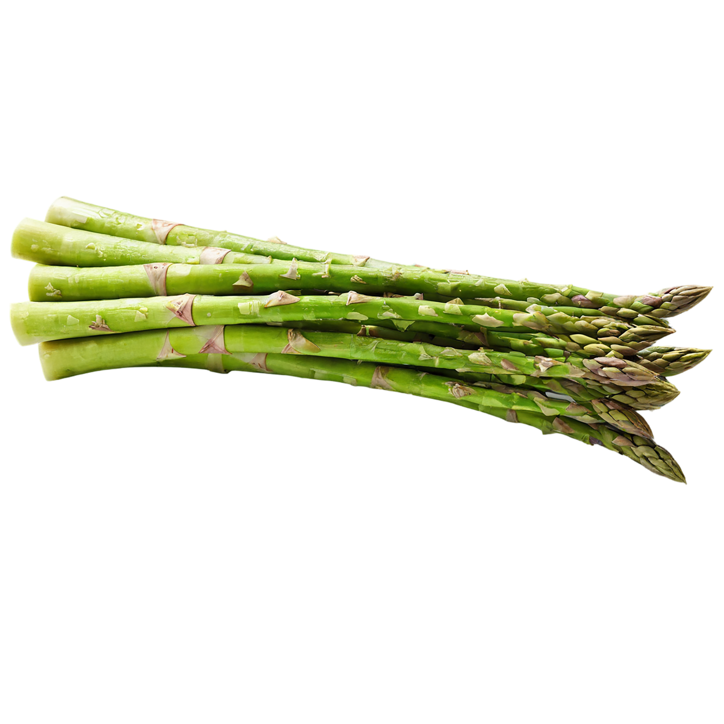 Asparagus vegetables isolated on transparent background #10524
