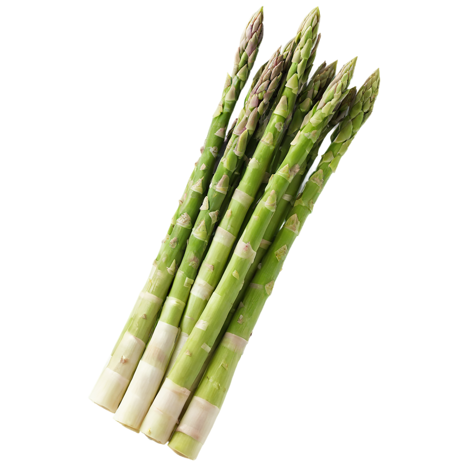 Asparagus vegetables isolated on transparent background #10525