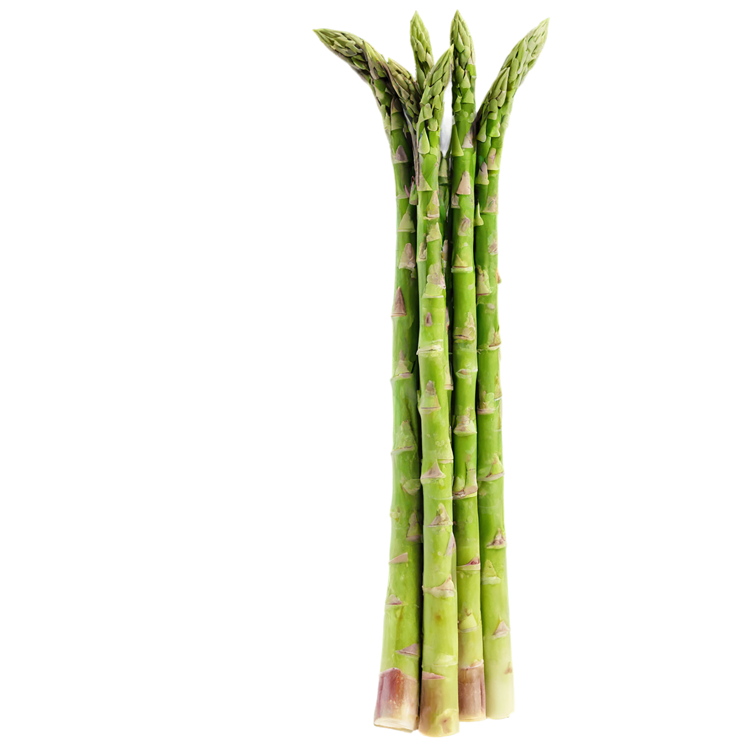Asparagus vegetables isolated on transparent background #10527