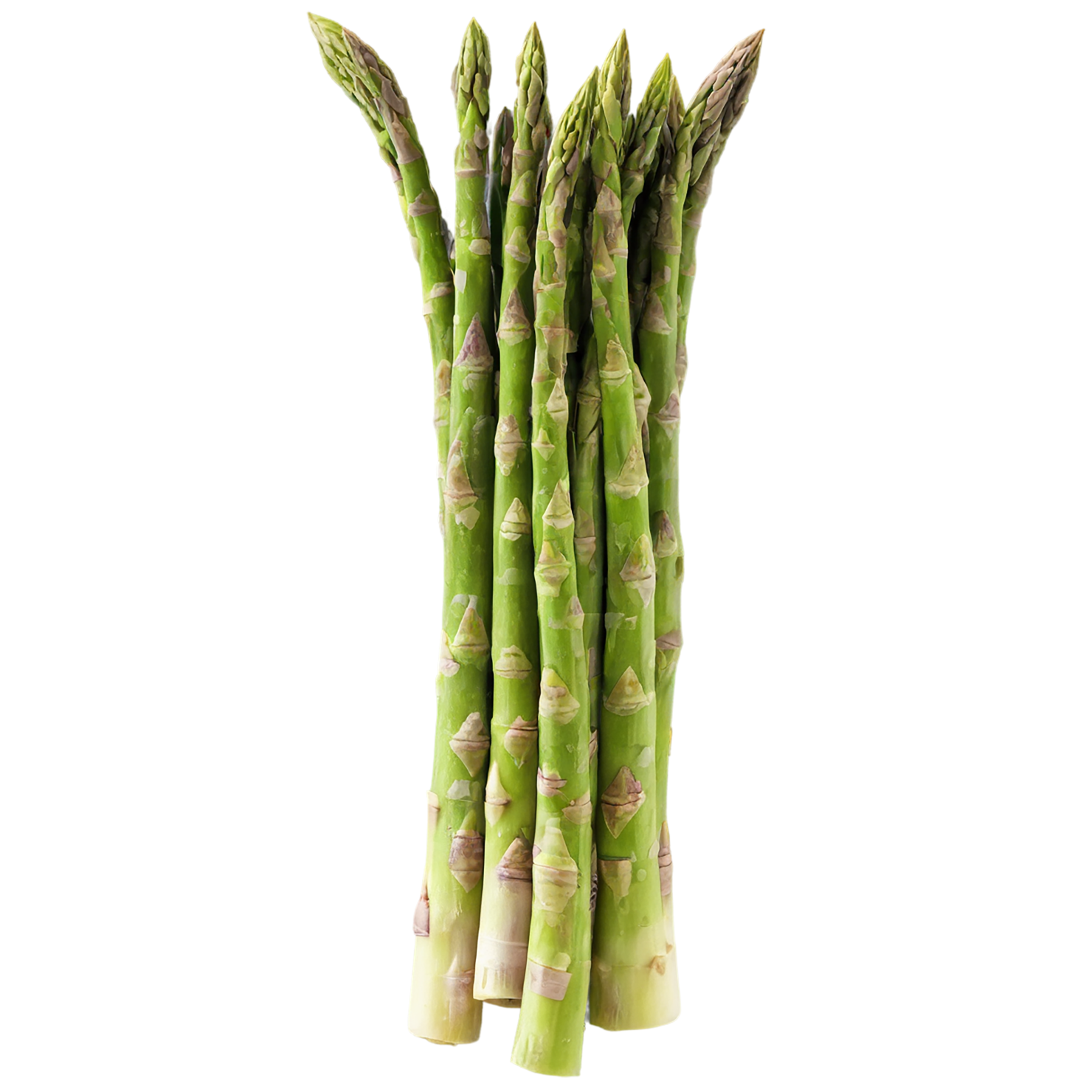 Asparagus vegetables isolated on transparent background #10530