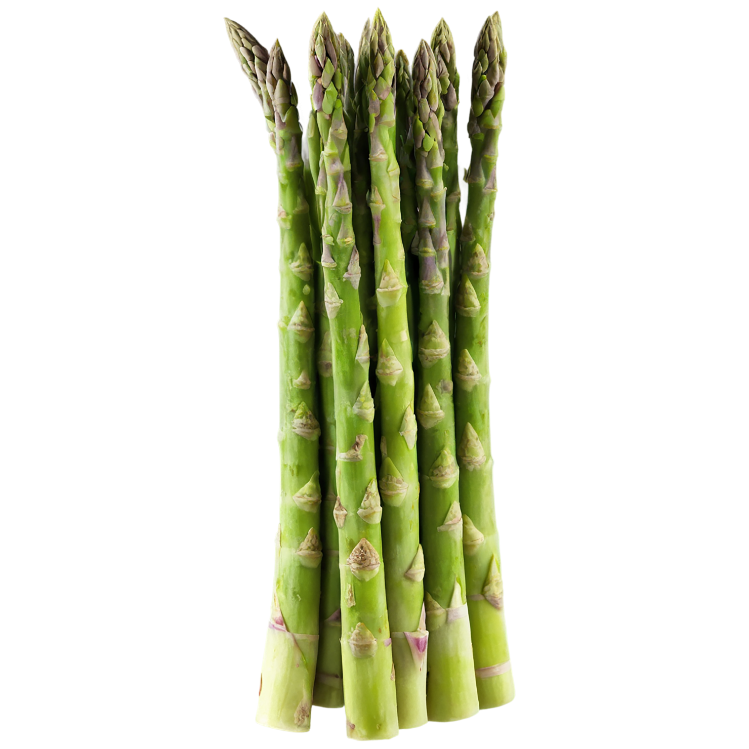Asparagus vegetables isolated on transparent background #10531