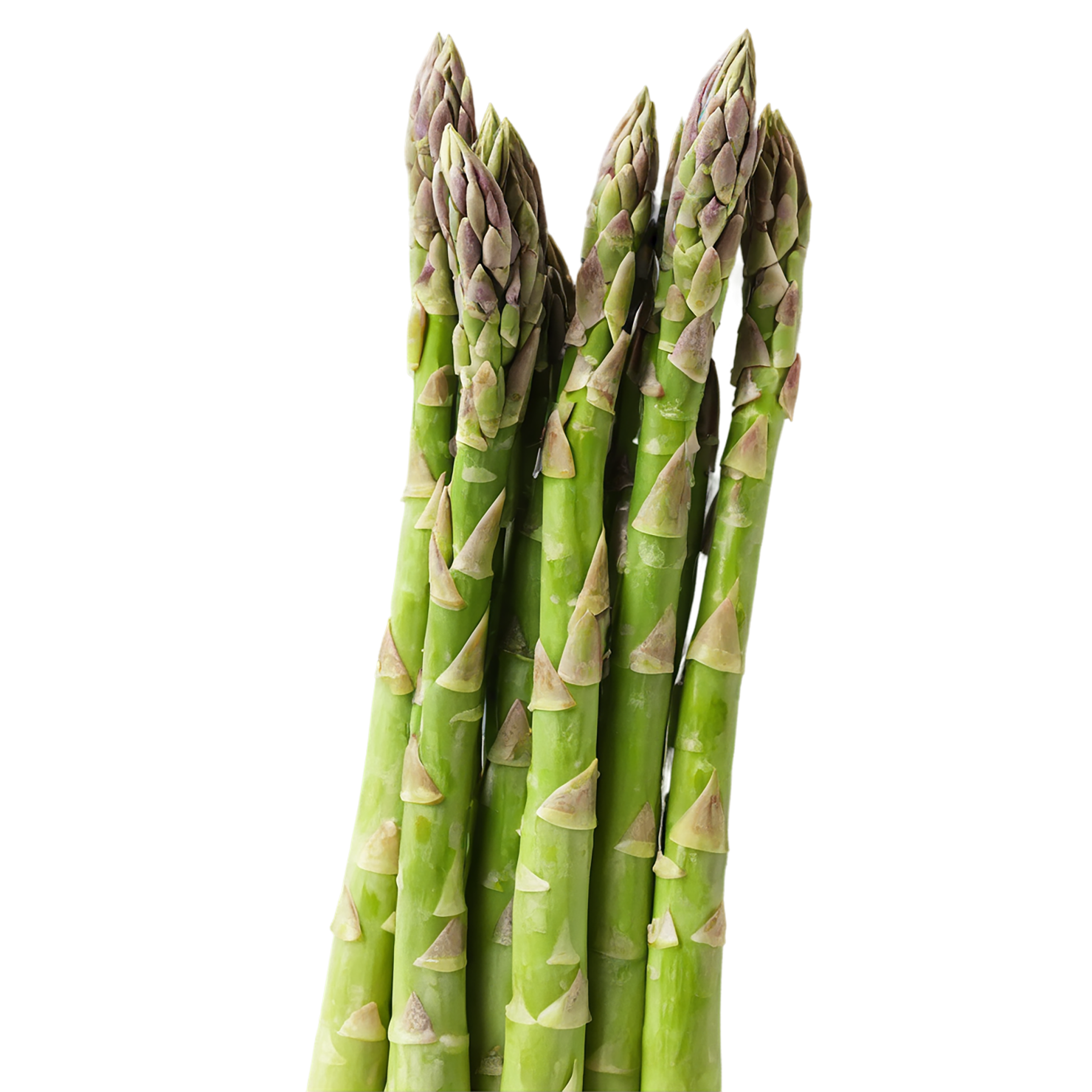 Asparagus vegetables isolated on transparent background #10533