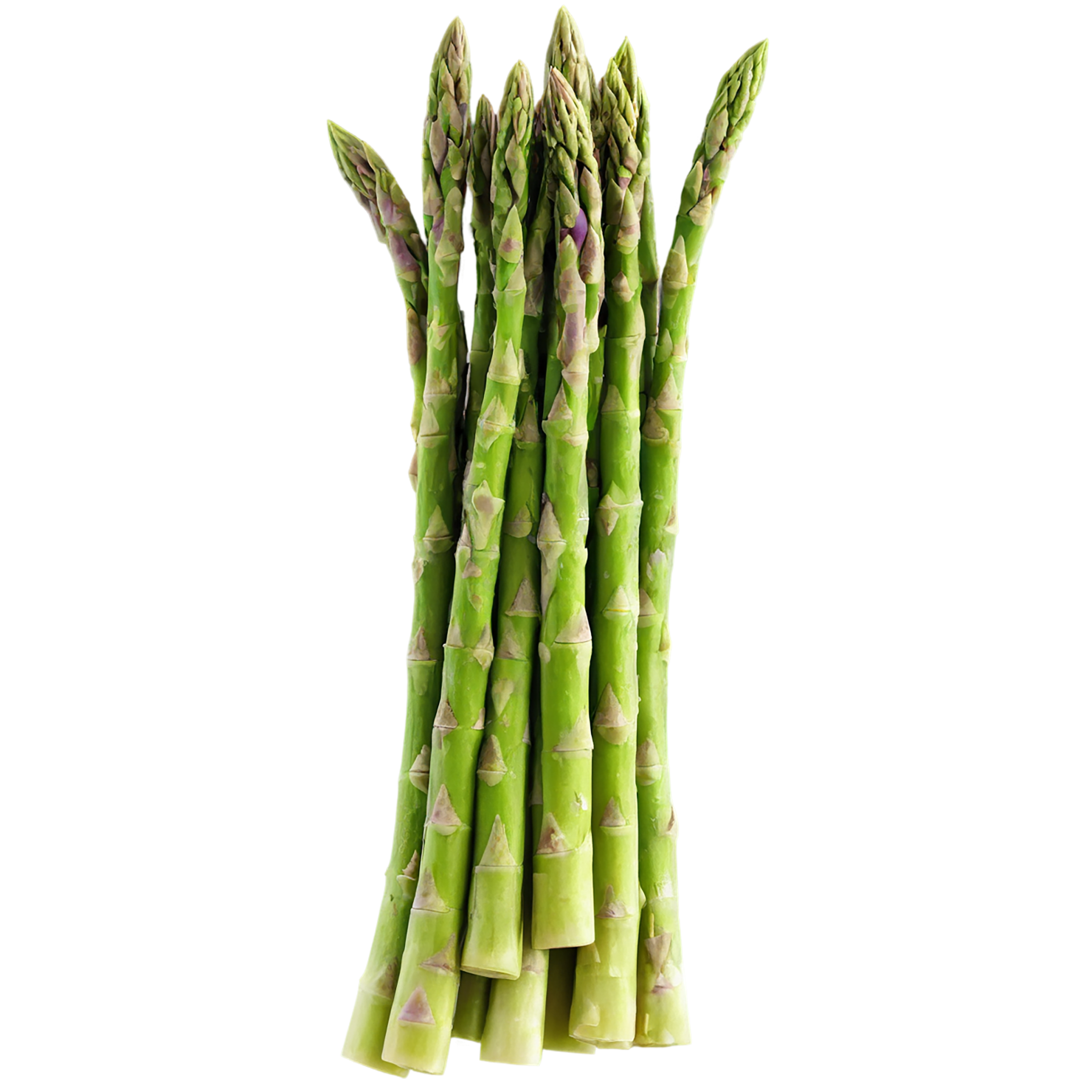 Asparagus vegetables isolated on transparent background #10536