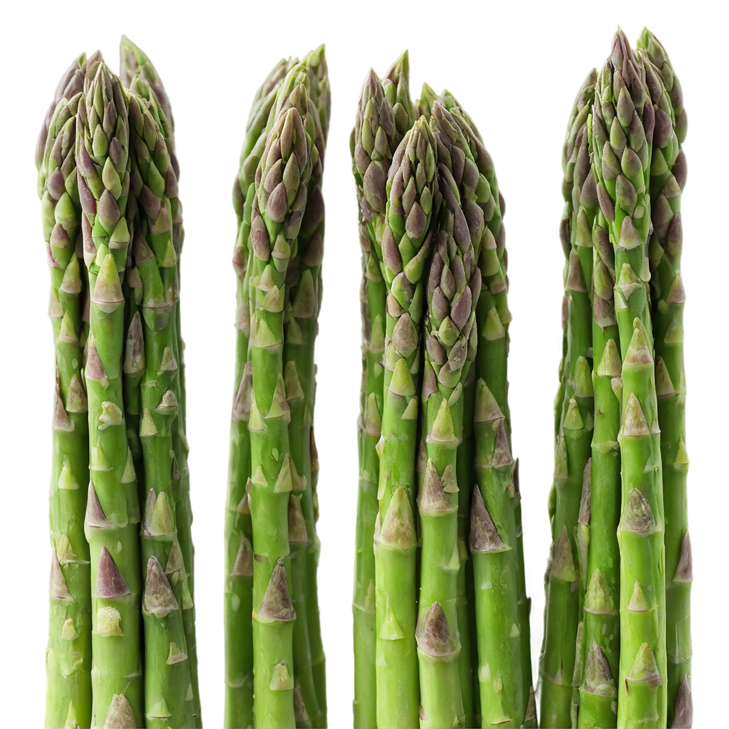Asparagus vegetables isolated on transparent background #10537