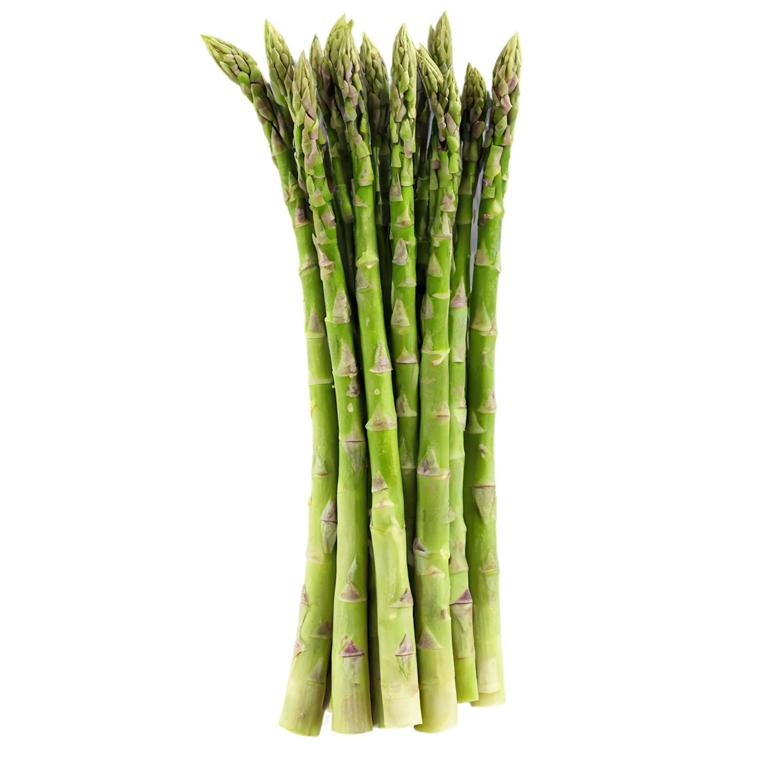 Asparagus vegetables isolated on transparent background #10539