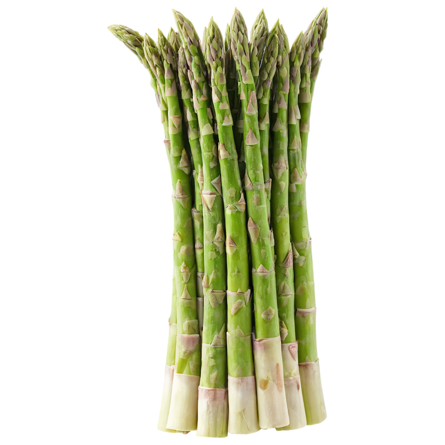 Asparagus vegetables isolated on transparent background #10542