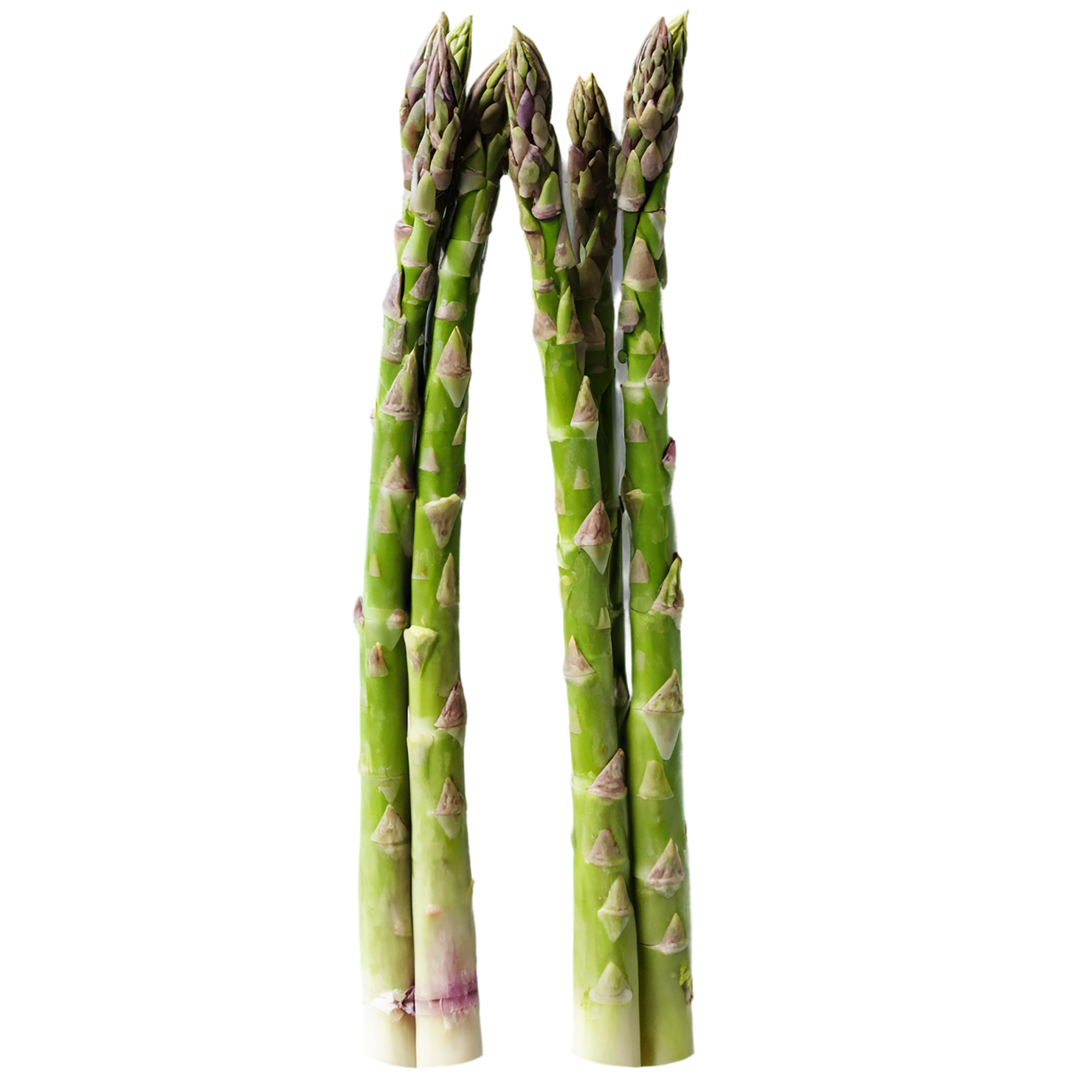 Asparagus vegetables isolated on transparent background #10544