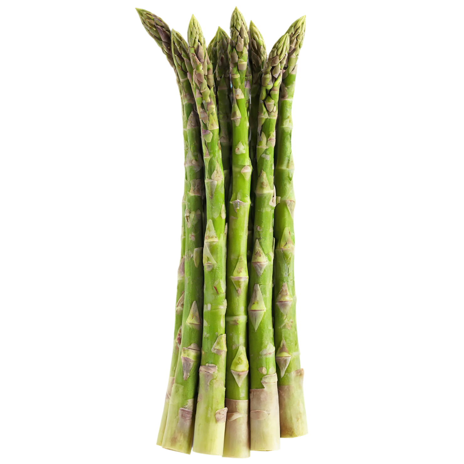 Asparagus vegetables isolated on transparent background #10546