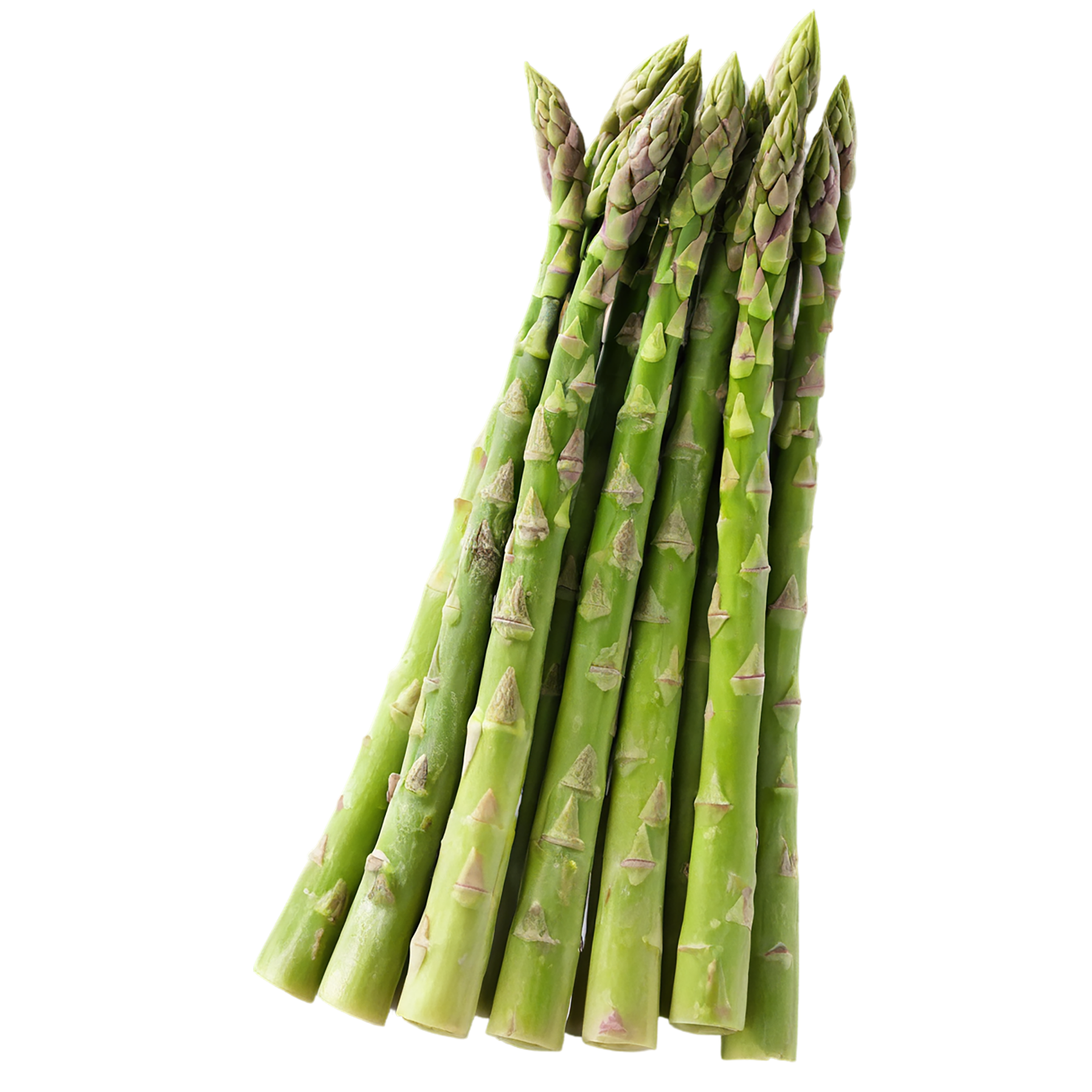Asparagus vegetables isolated on transparent background #10547