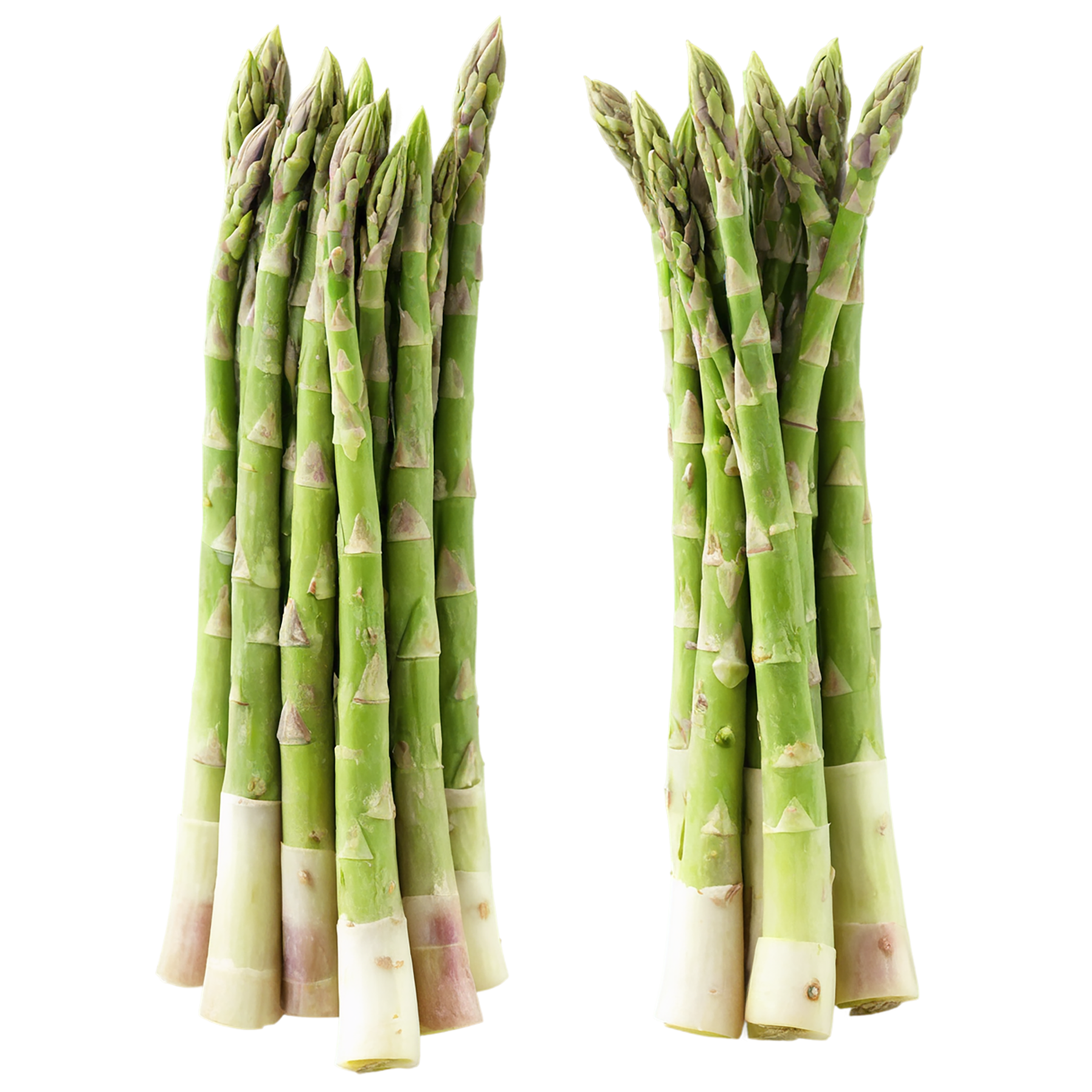 Asparagus vegetables isolated on transparent background #10548