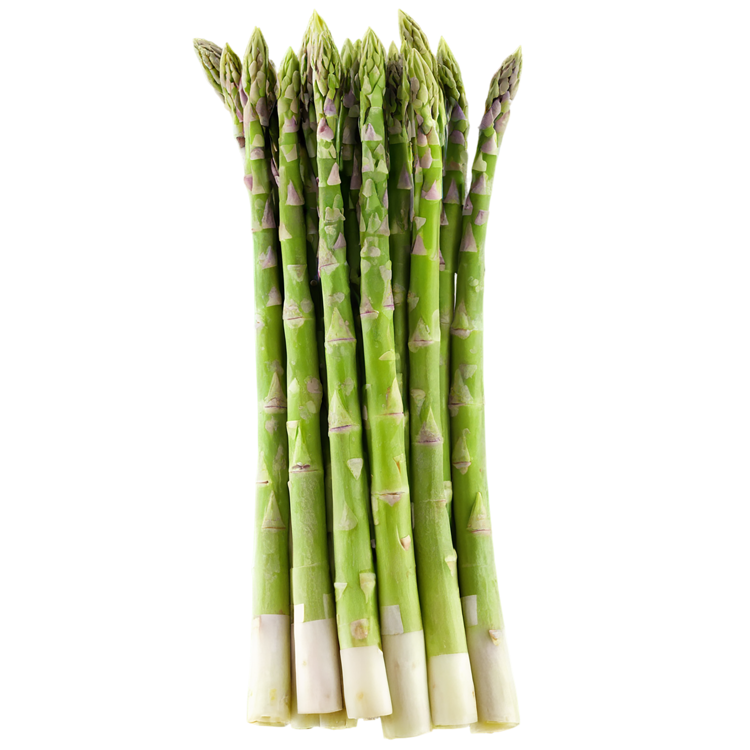 Asparagus vegetables isolated on transparent background #10550