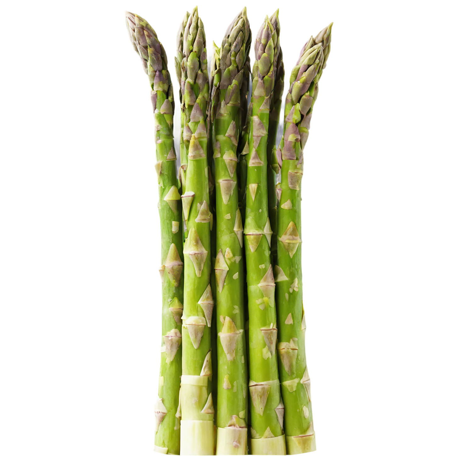 Asparagus vegetables isolated on transparent background #10551