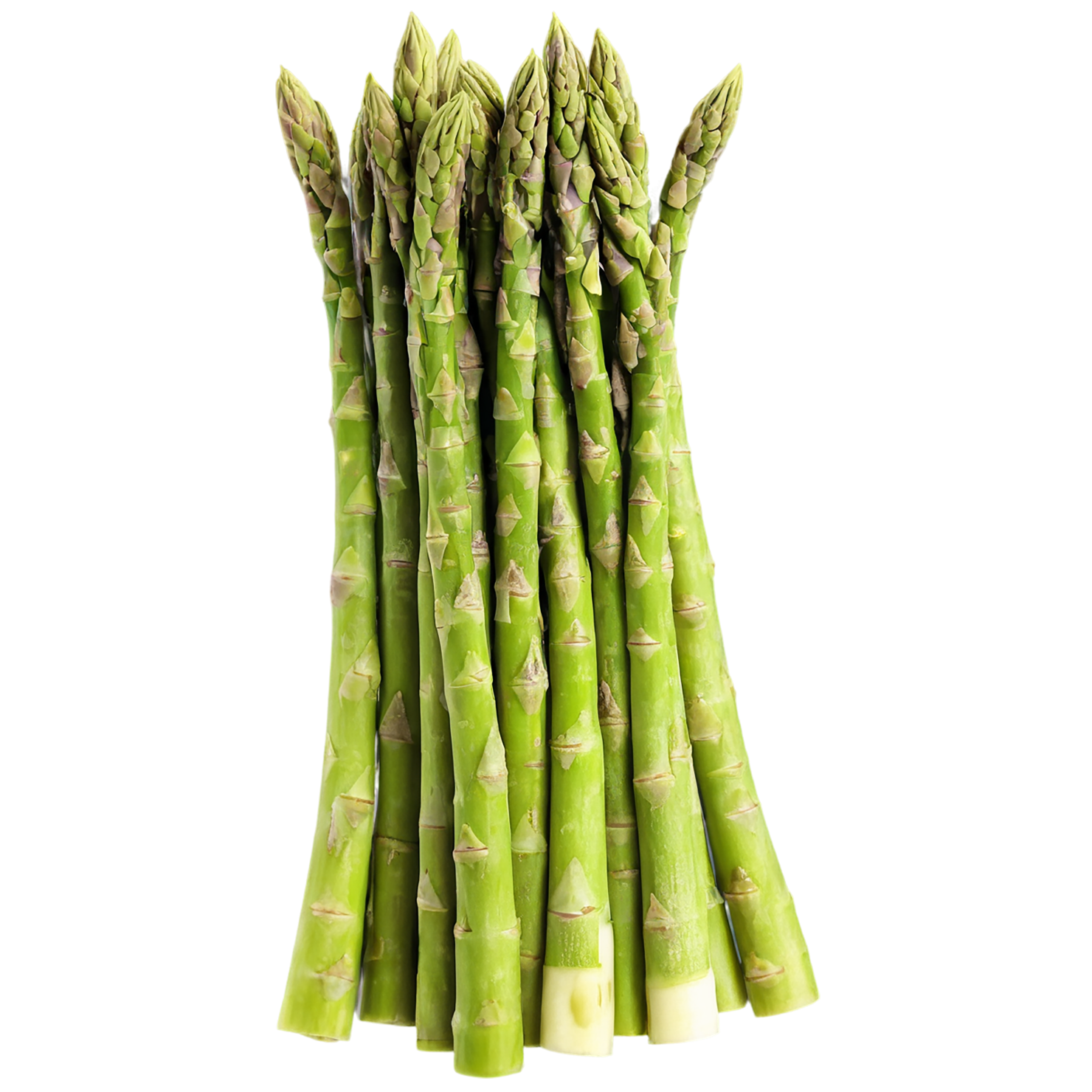 Asparagus vegetables isolated on transparent background #10552