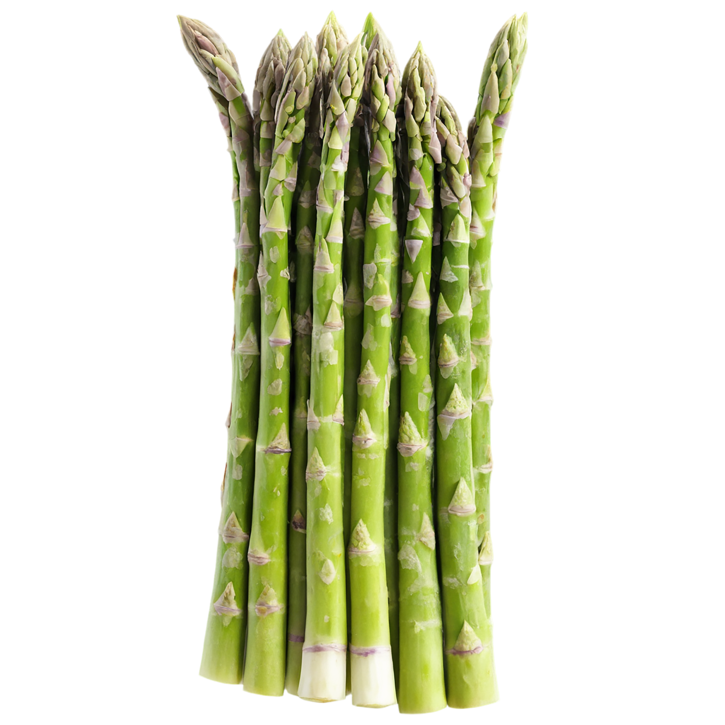 Asparagus vegetables isolated on transparent background #10554