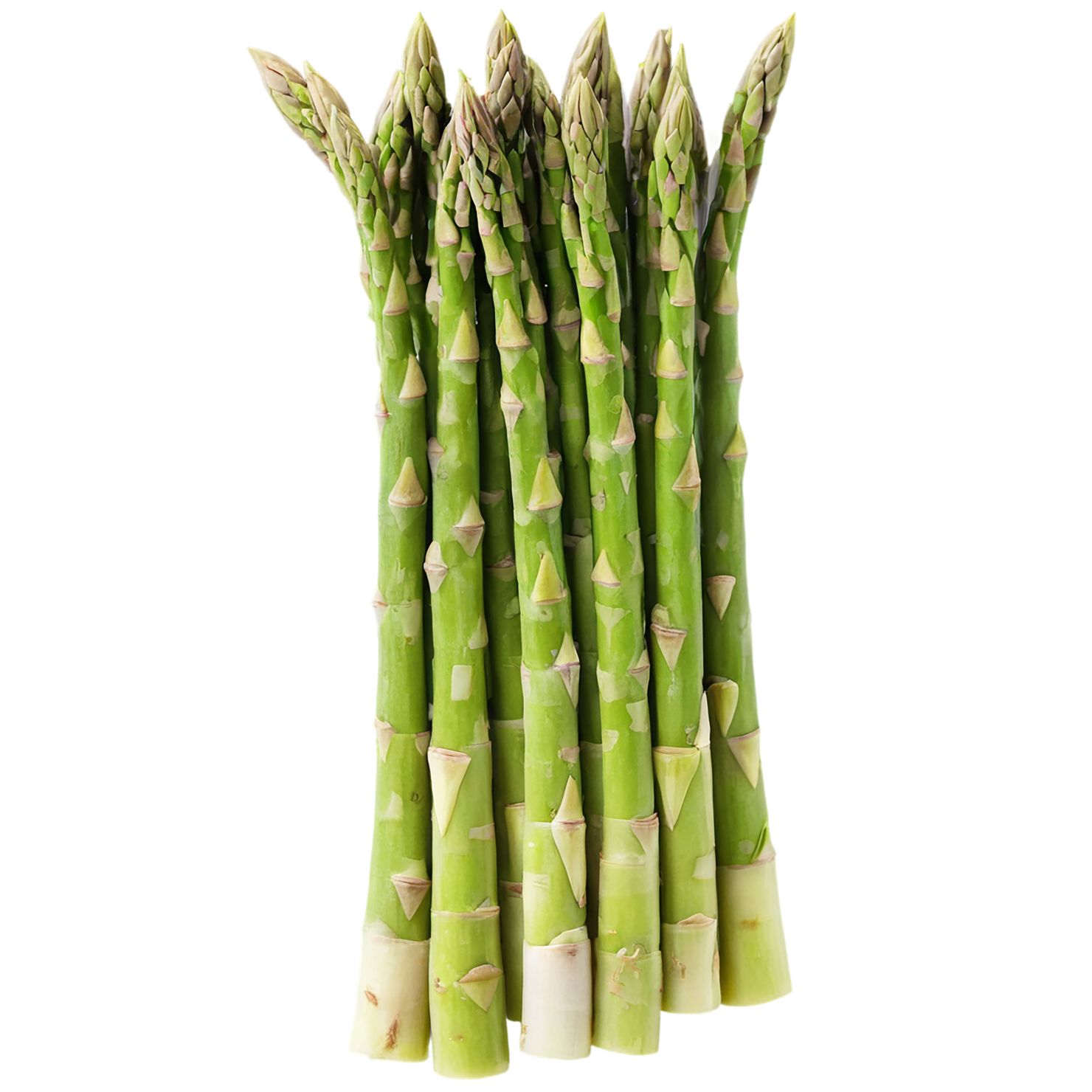 Asparagus vegetables isolated on transparent background #10556