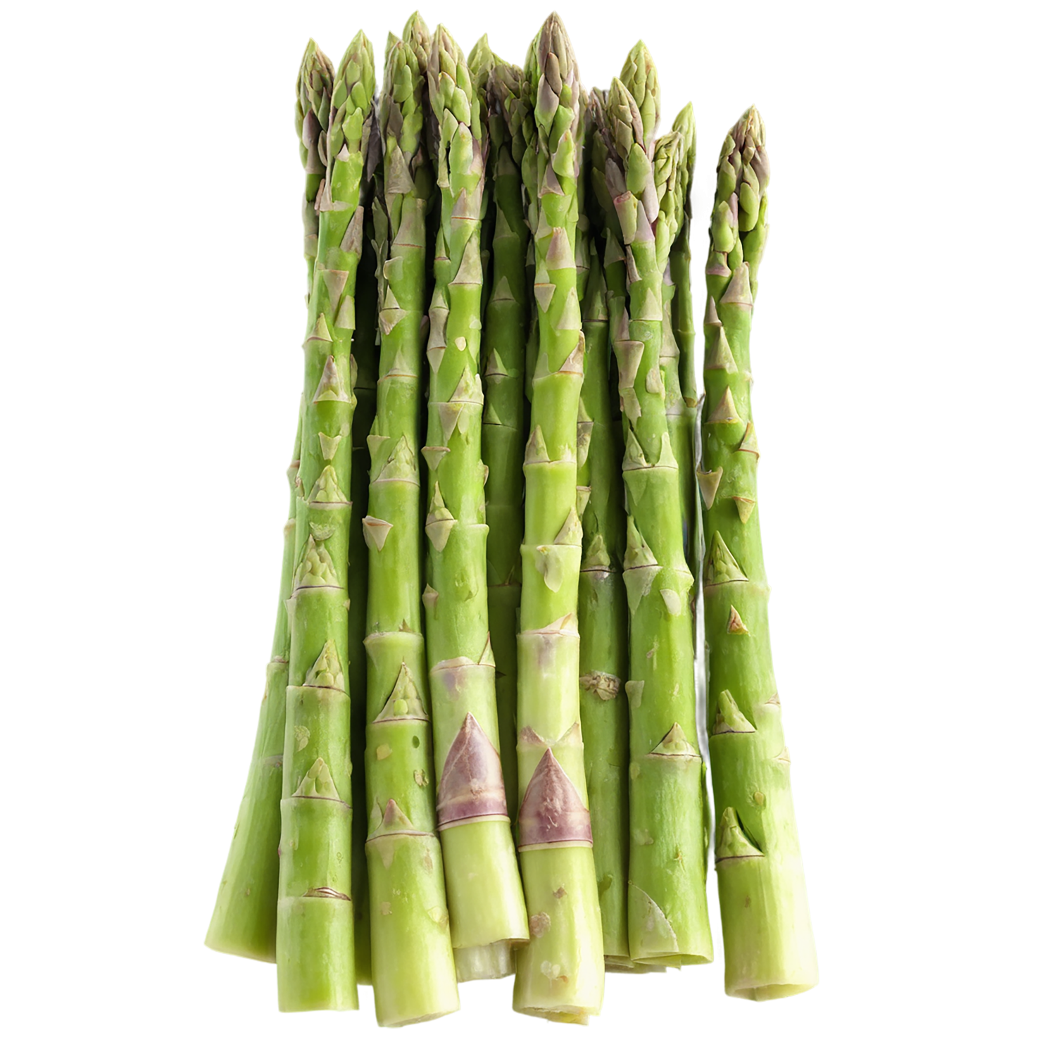 Asparagus vegetables isolated on transparent background #10559
