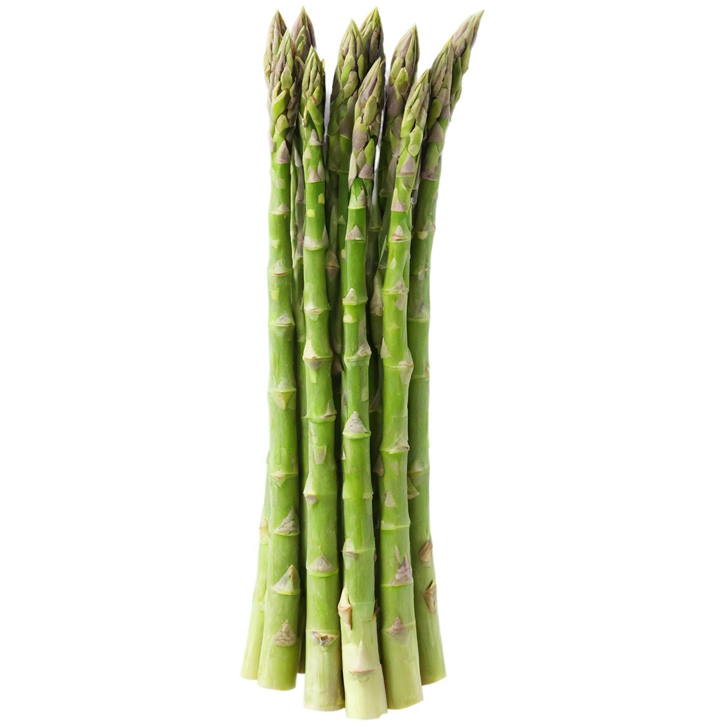 Asparagus vegetables isolated on transparent background #10560