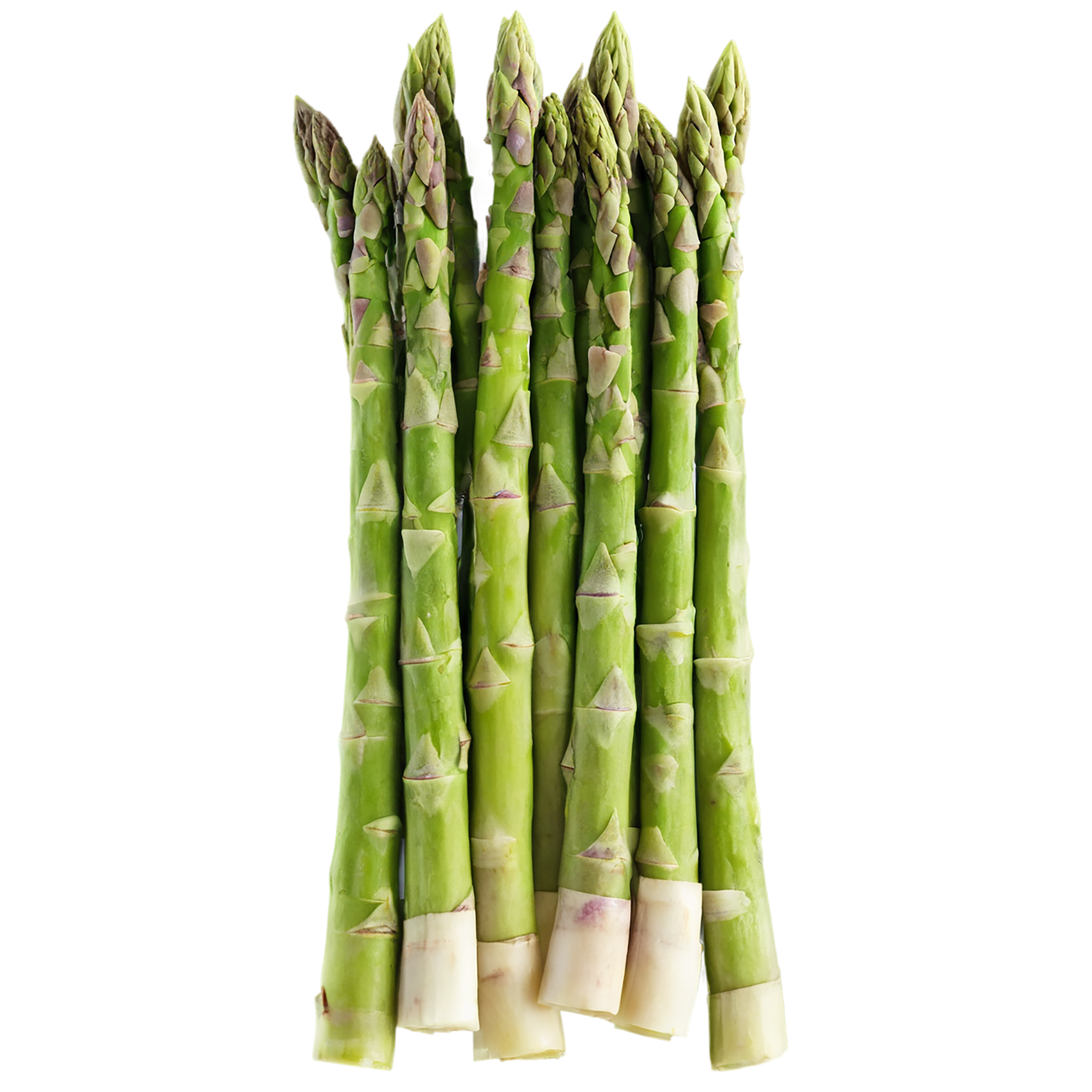 Asparagus vegetables isolated on transparent background #10561