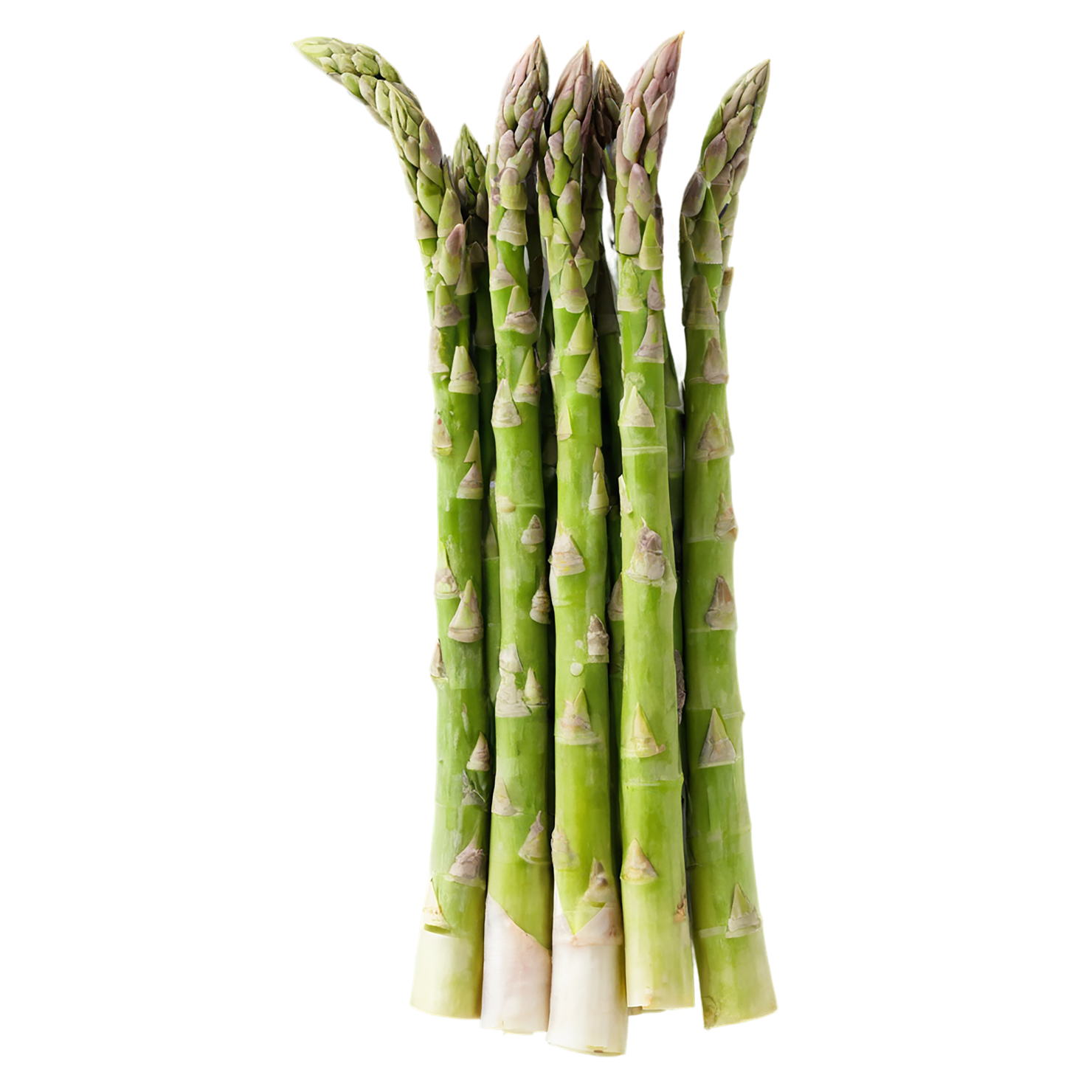 Asparagus vegetables isolated on transparent background #10563