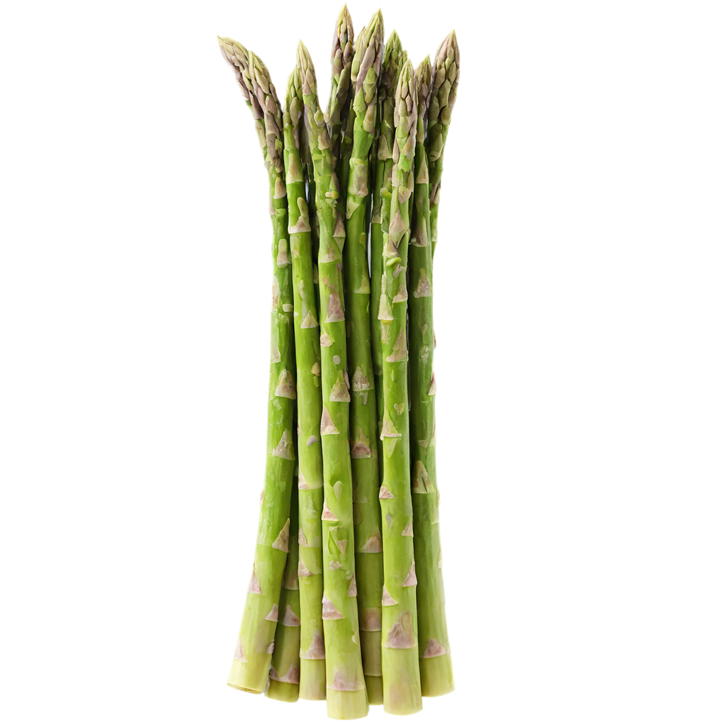 Asparagus vegetables isolated on transparent background #10564