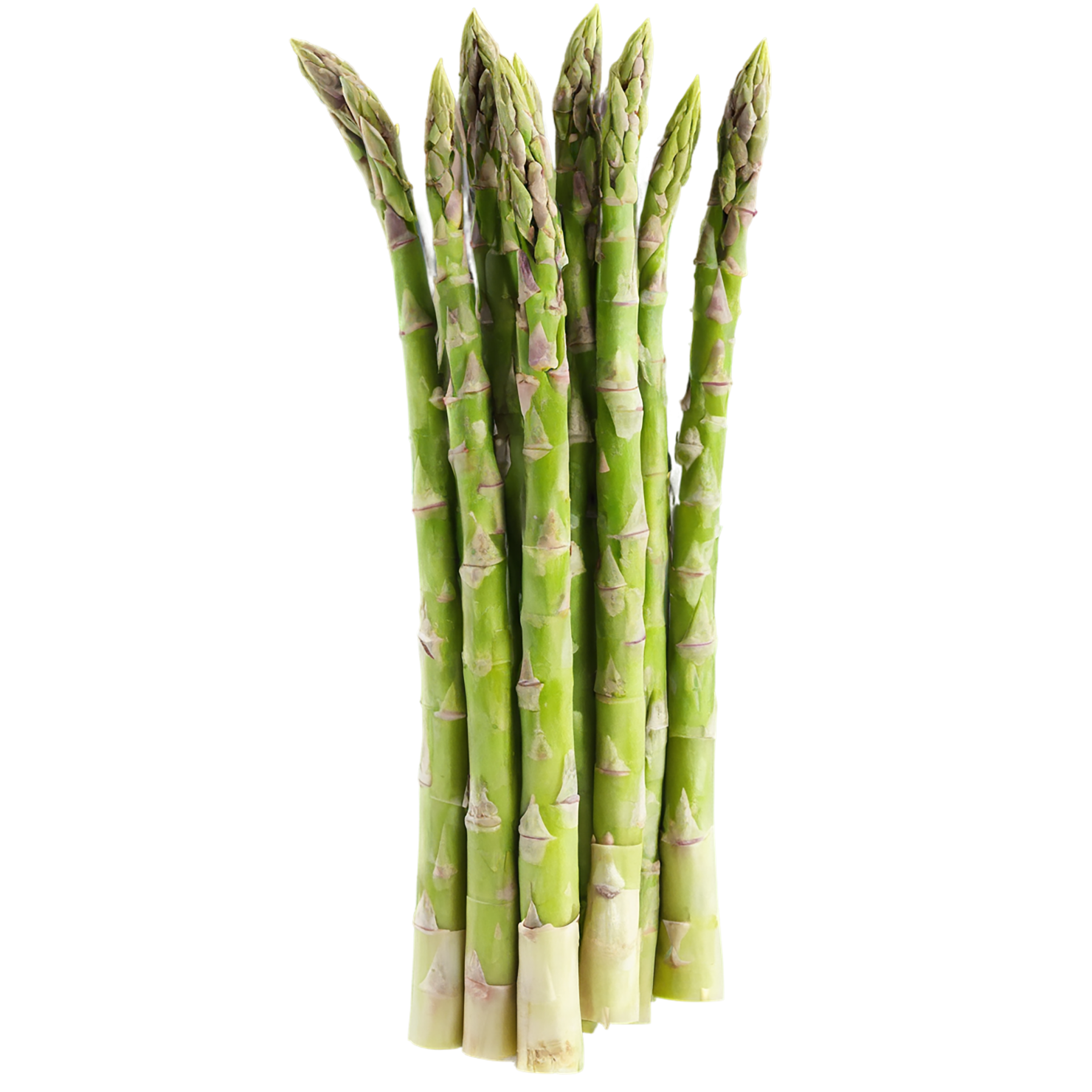 Asparagus vegetables isolated on transparent background #10565