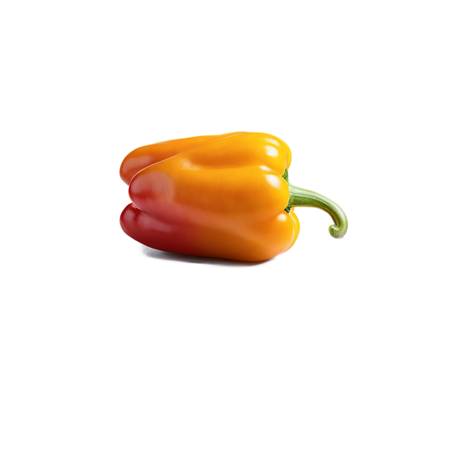 Bell pepper vegetables isolated on transparent background #10566