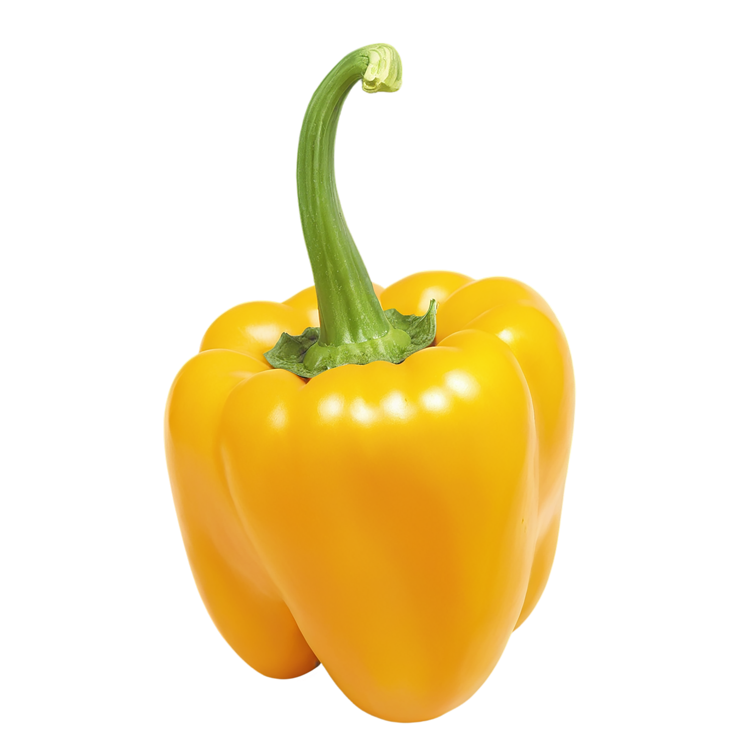 Bell pepper vegetables isolated on transparent background #10568