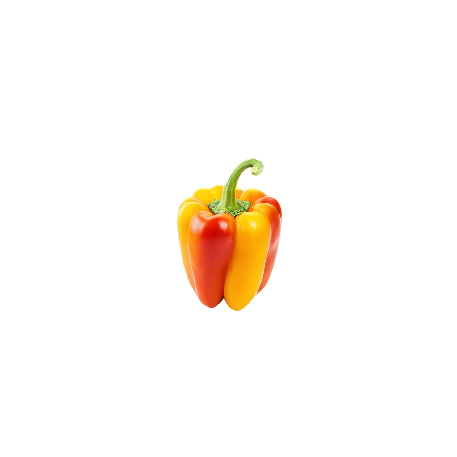 Bell pepper vegetables isolated on transparent background #10592