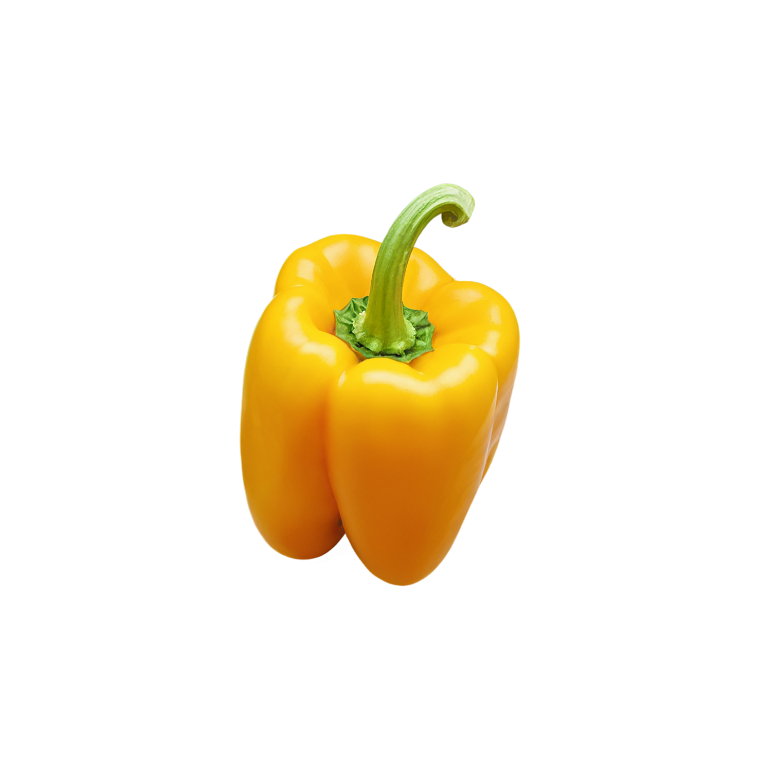 Bell pepper vegetables isolated on transparent background #10594