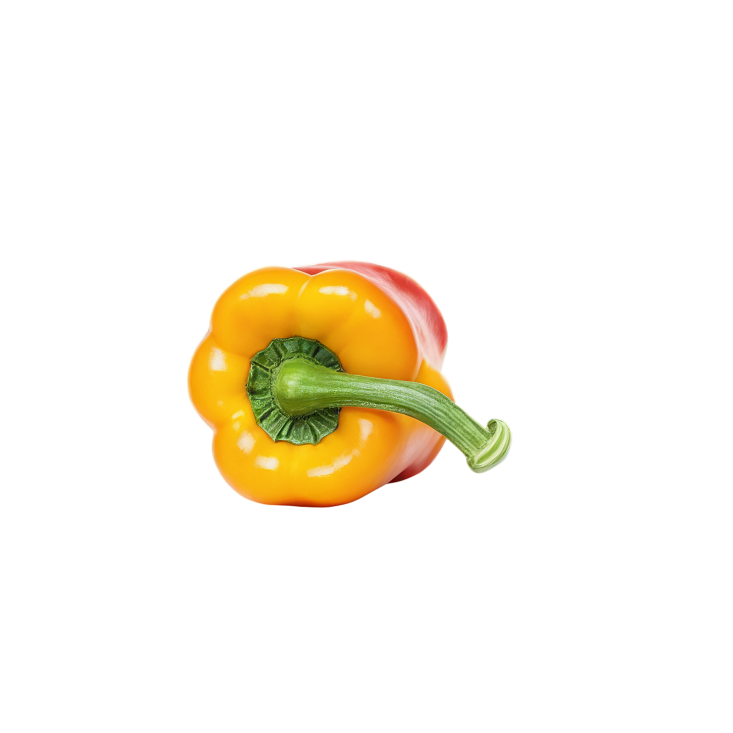 Bell pepper vegetables isolated on transparent background #10600
