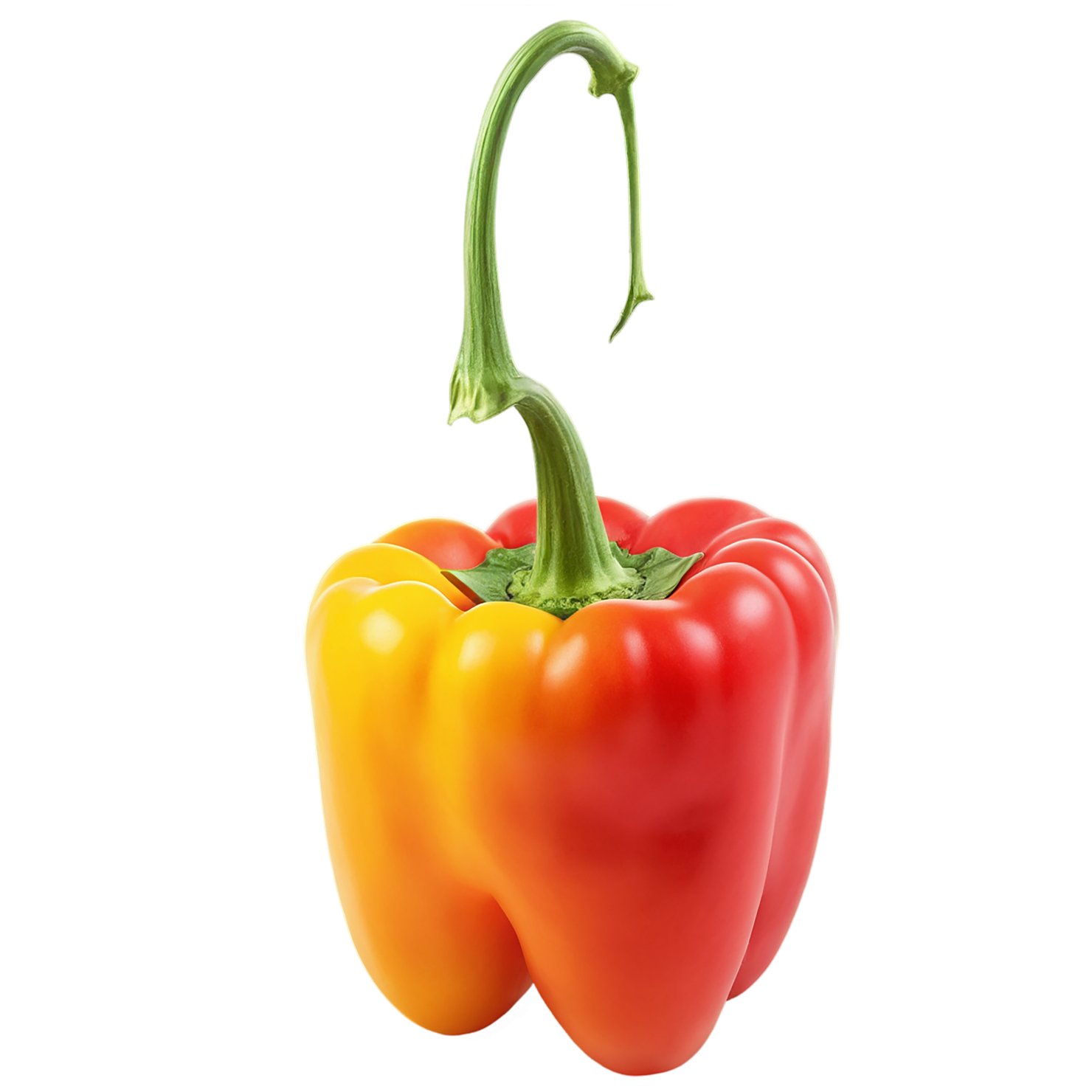 Bell pepper vegetables isolated on transparent background #10602